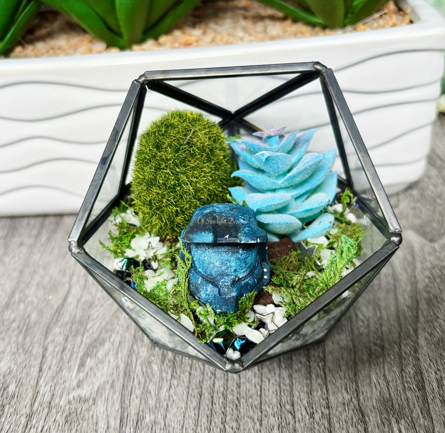 Space MIA Terrarium