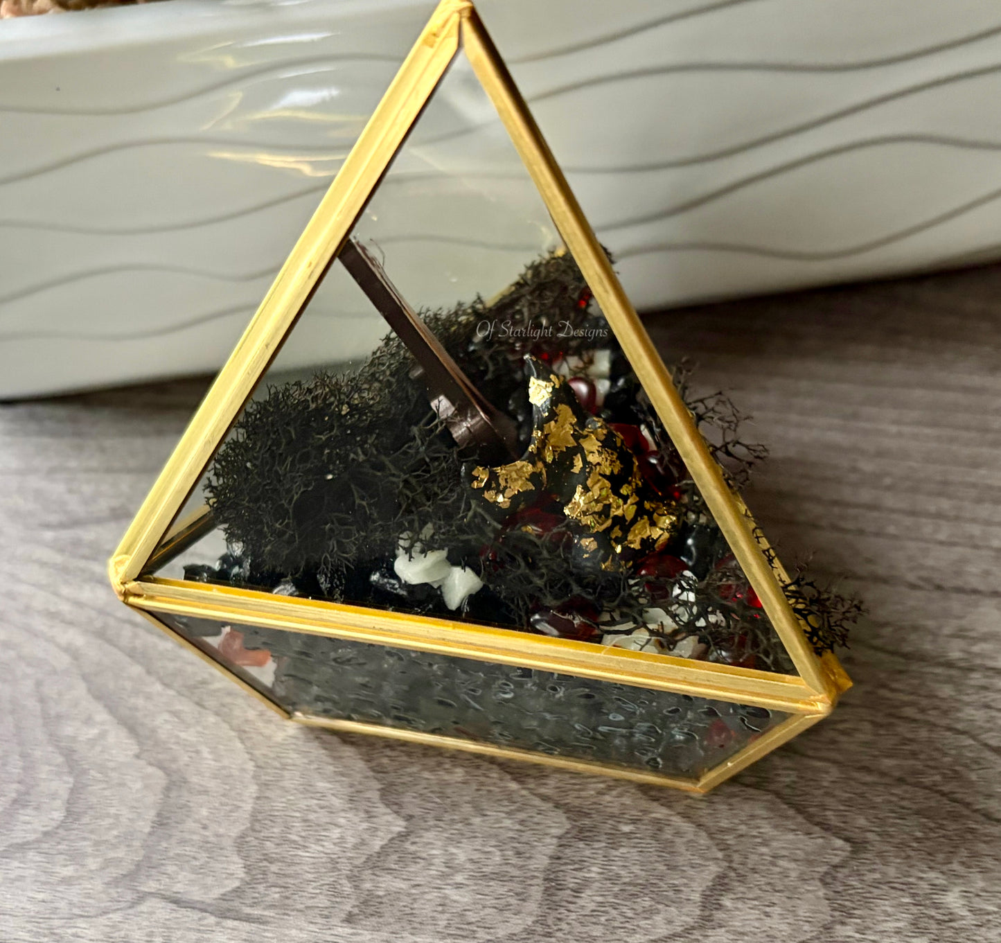 Evolution Triangle Terrarium