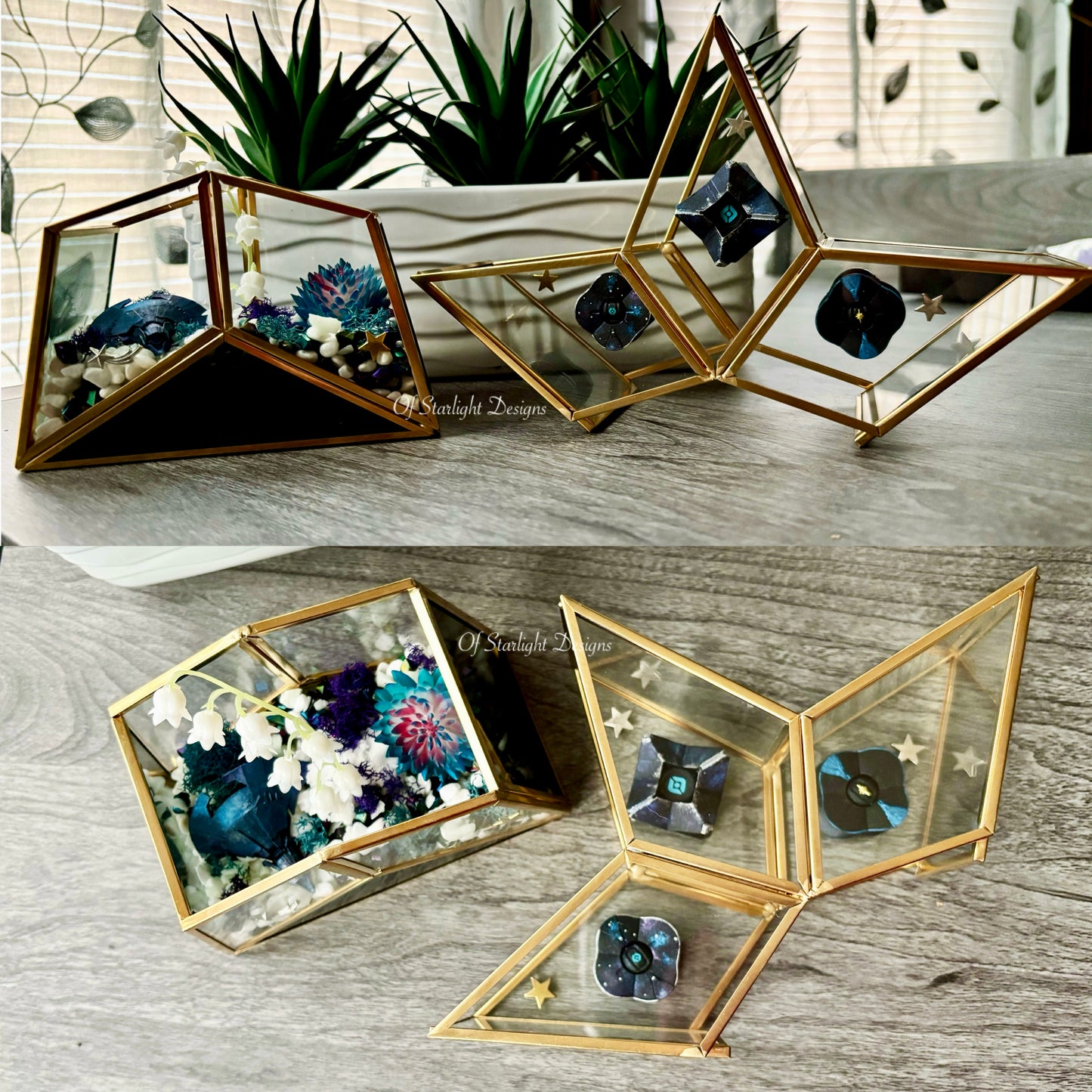 Vex Star Little Light Terrarium