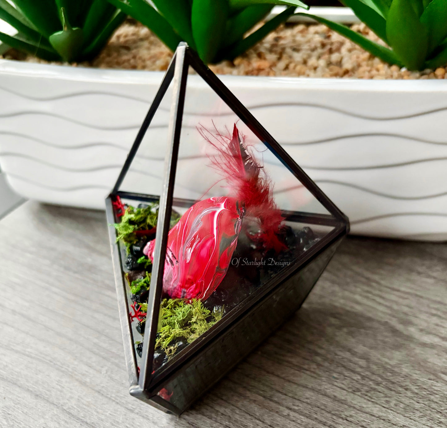 Melting Sleep Triangle Terrarium
