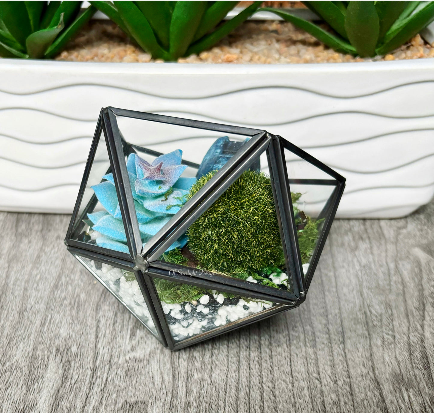 Space MIA Terrarium