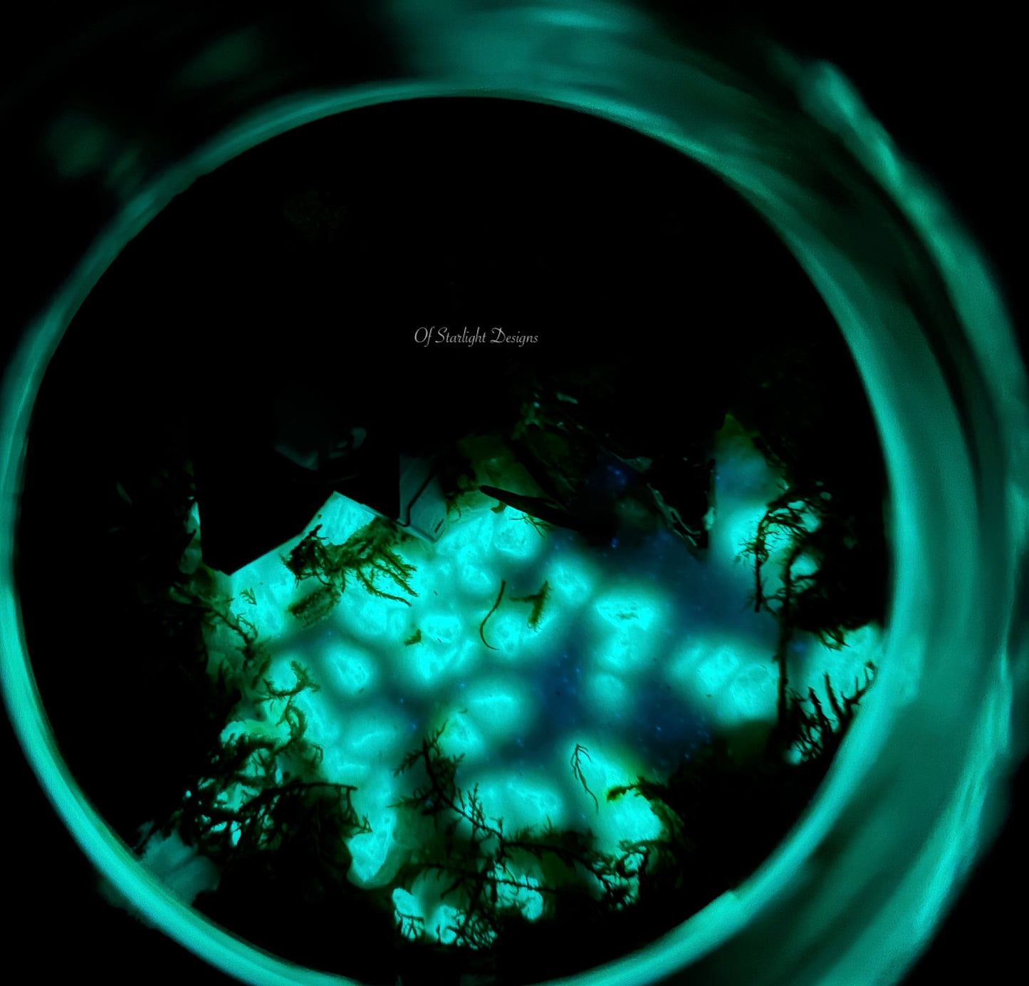 Nessus Goblin Little Light Color Orb