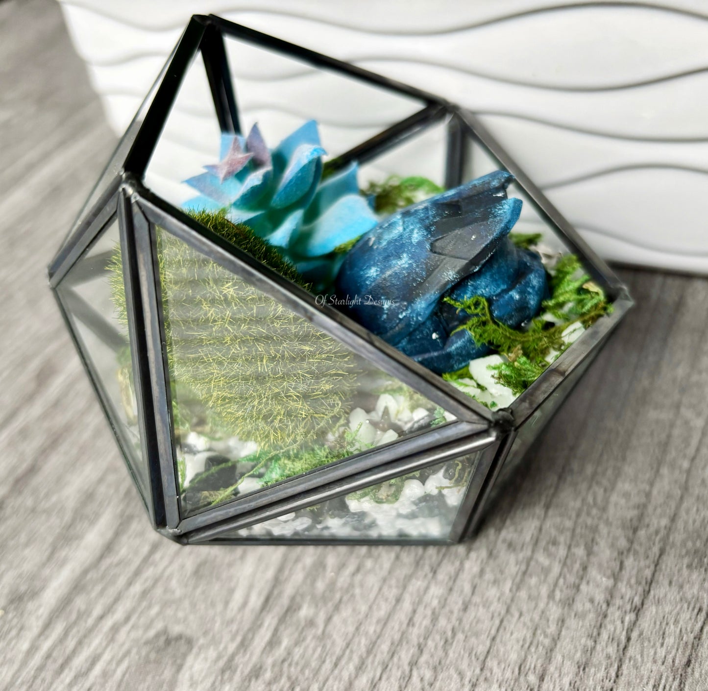 Space MIA Terrarium