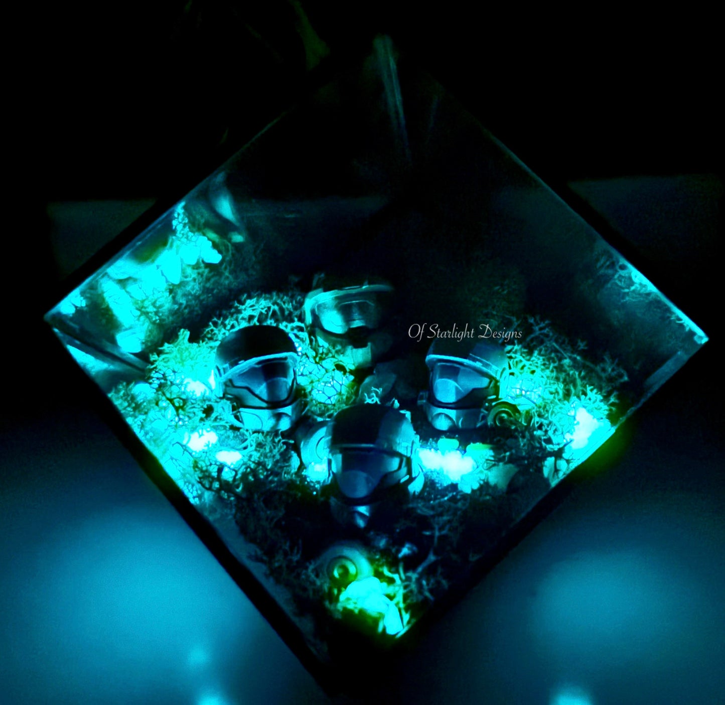 Chief & ODST Terrarium
