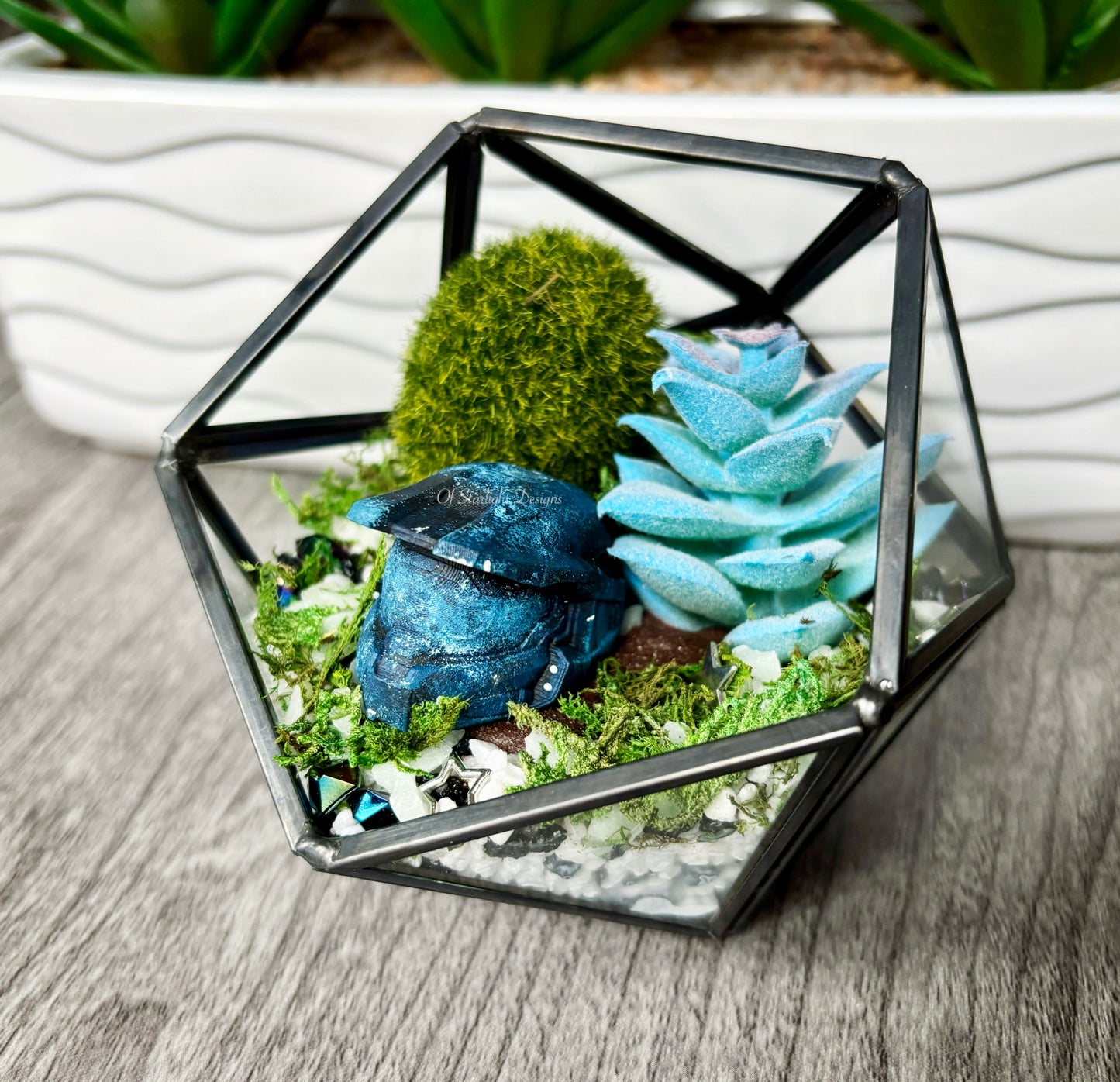 Space MIA Terrarium