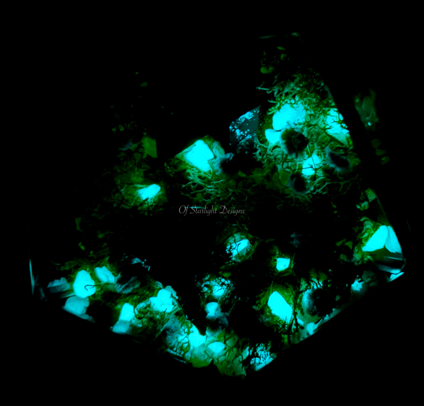 Venus Goblin Glow Little Light Terrarium
