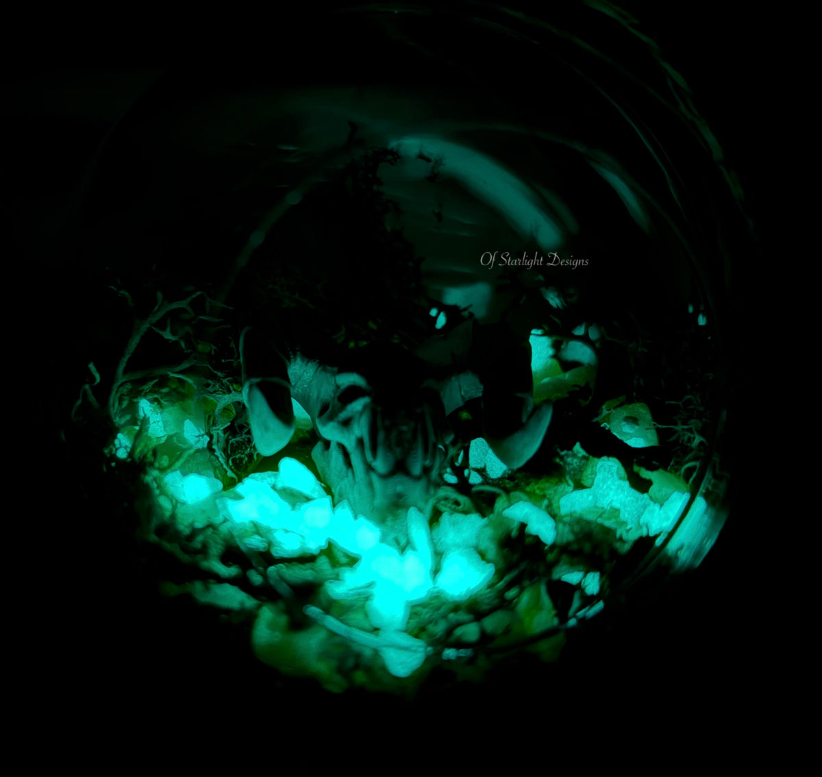 Wasteland Rads Orb