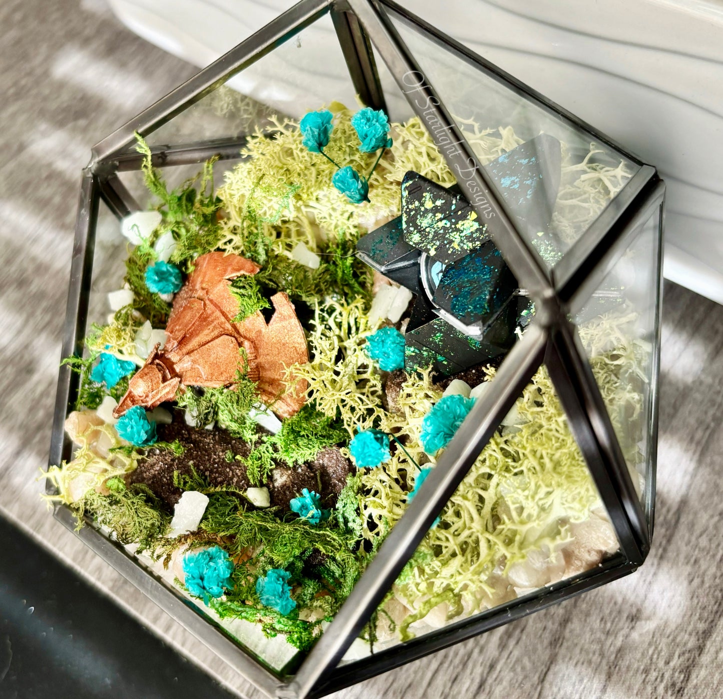 Venus Goblin Glow Little Light Terrarium