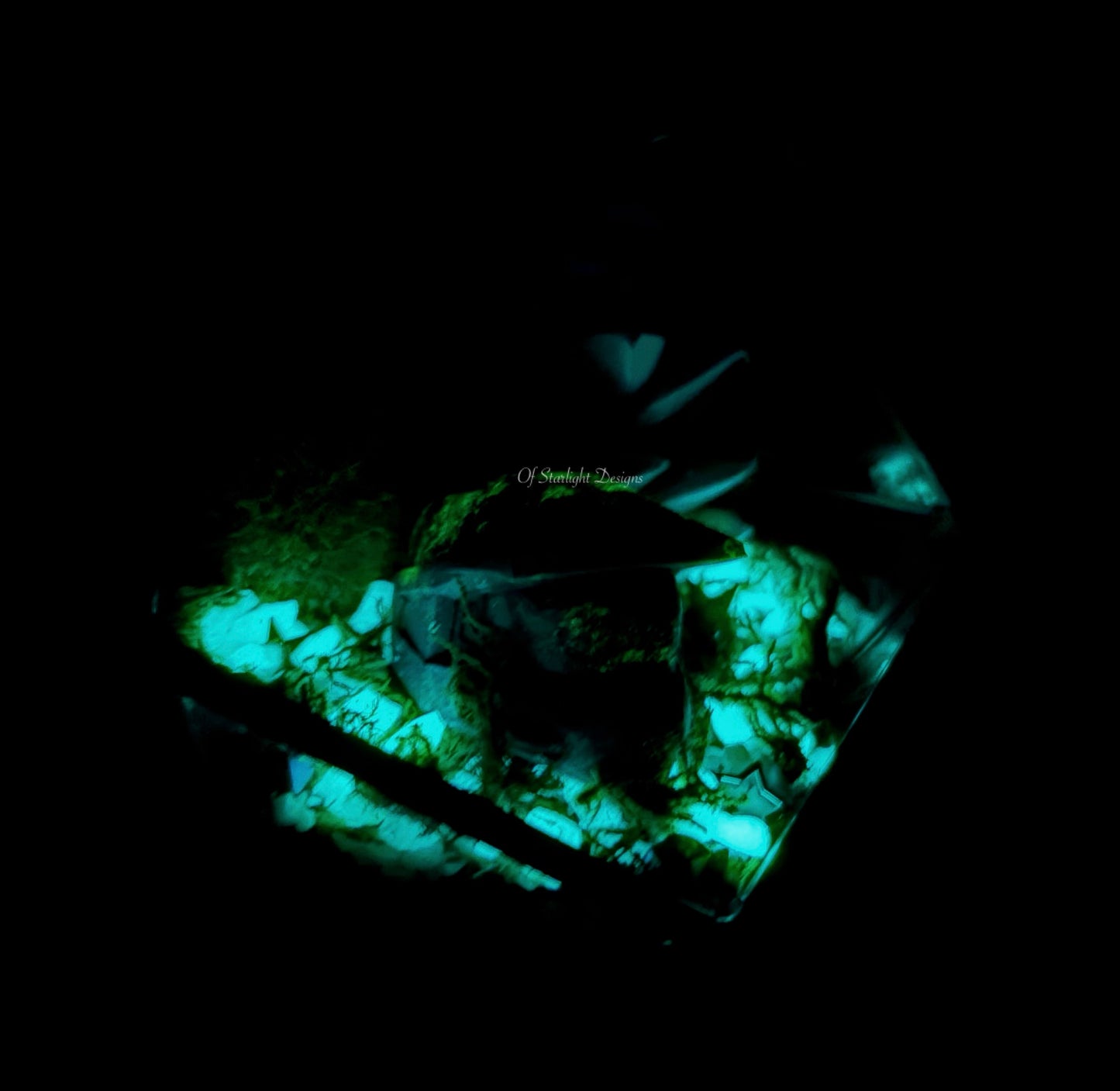 Space MIA Terrarium