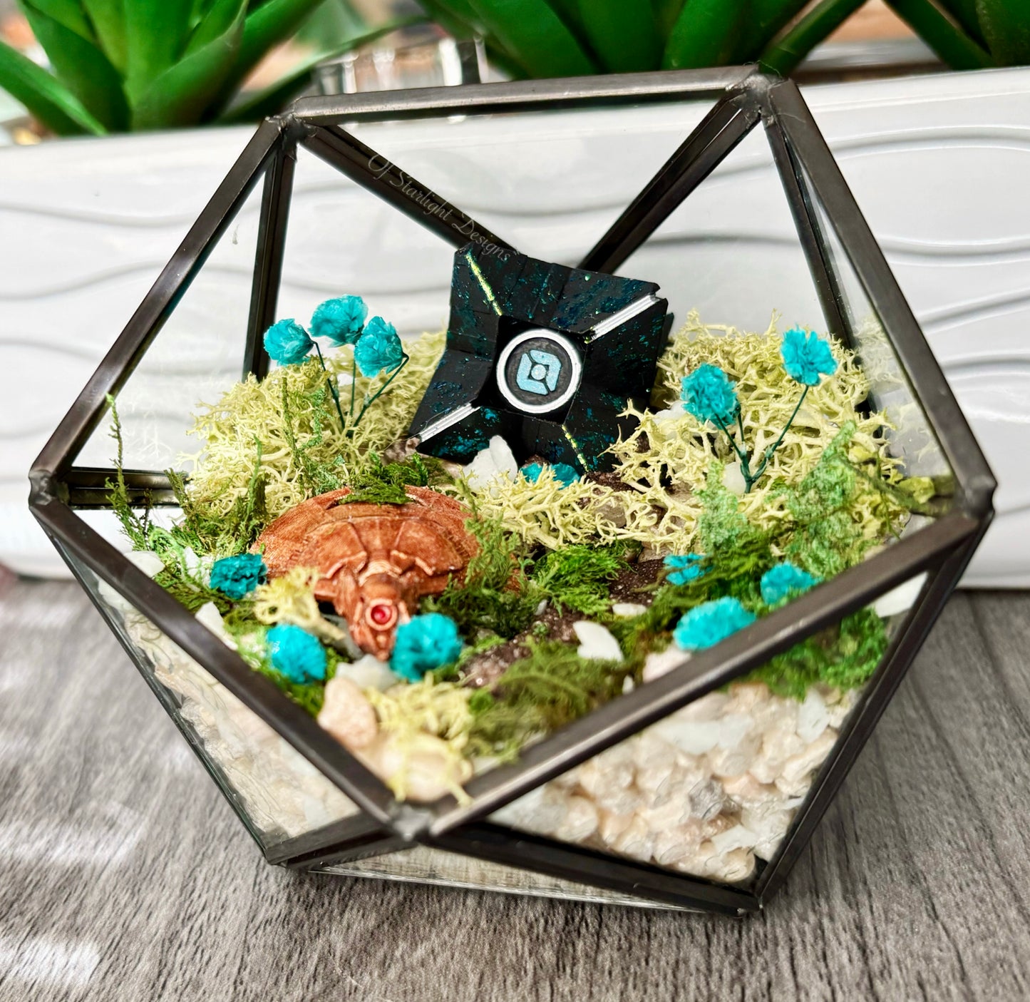Venus Goblin Glow Little Light Terrarium