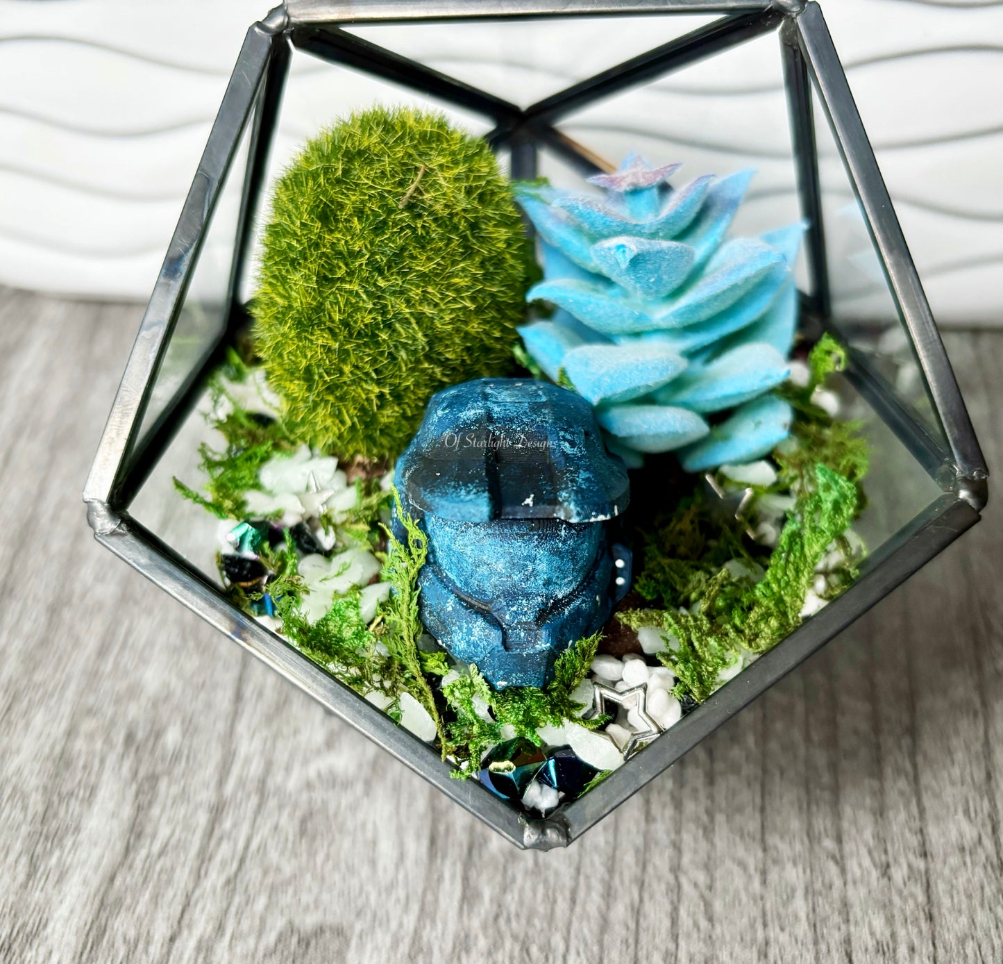 Space MIA Terrarium