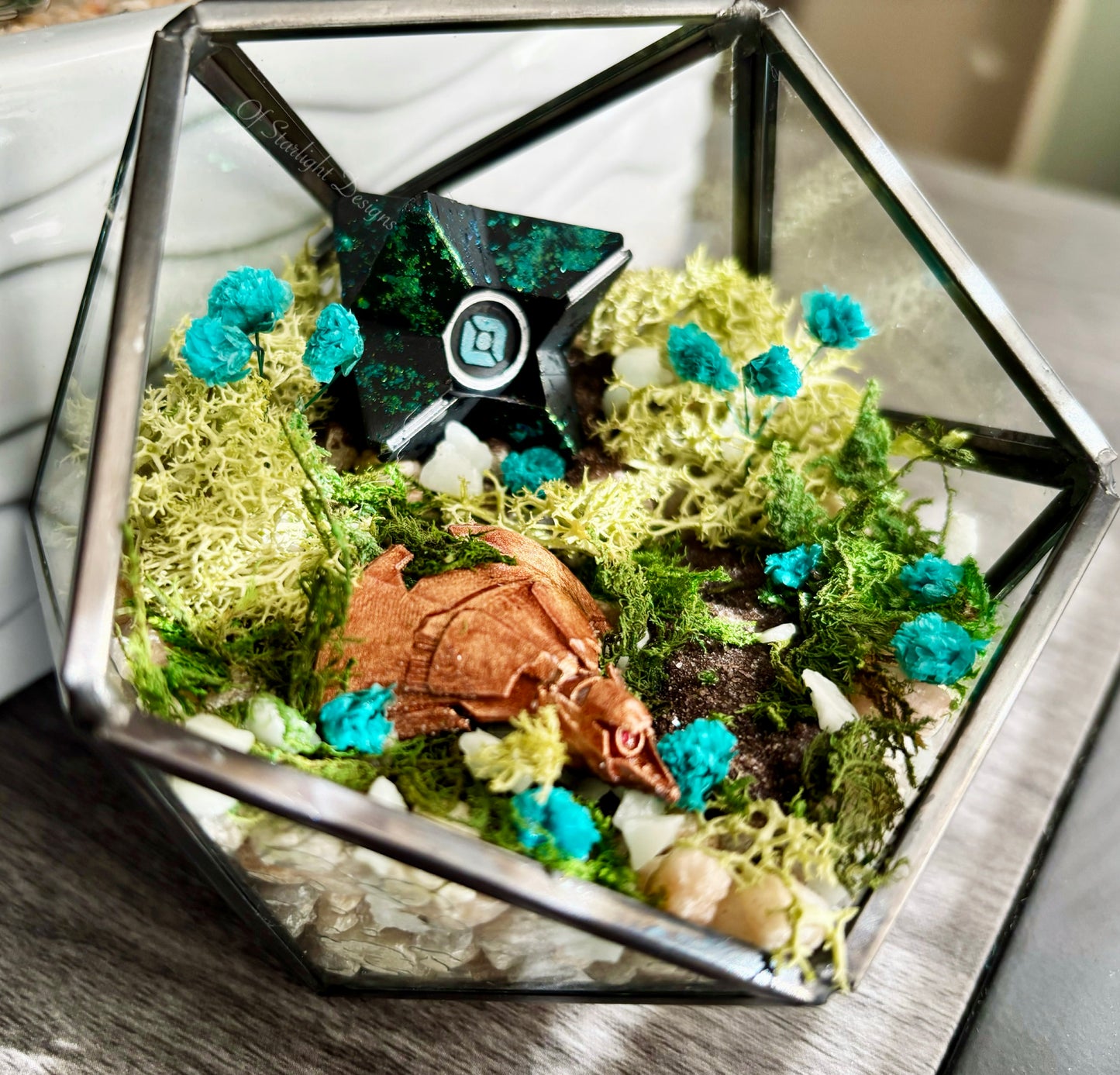 Venus Goblin Glow Little Light Terrarium