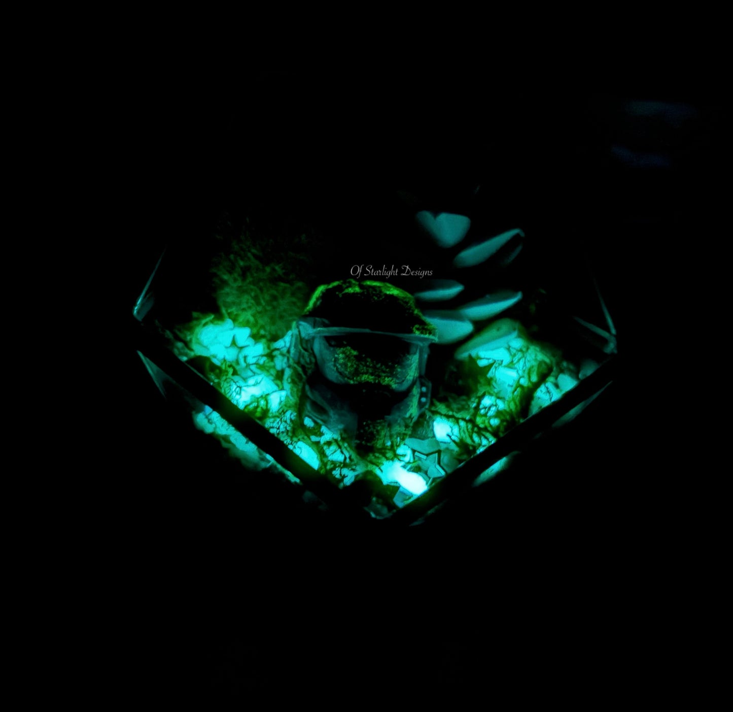 Space MIA Terrarium