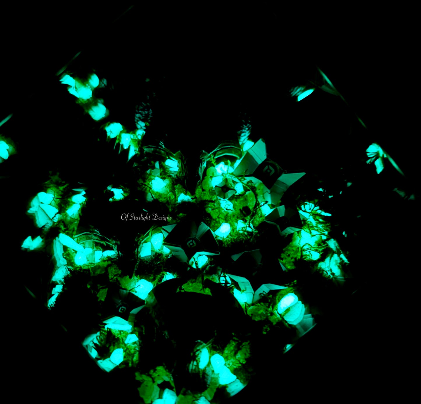 Black Garden Little Light Terrarium