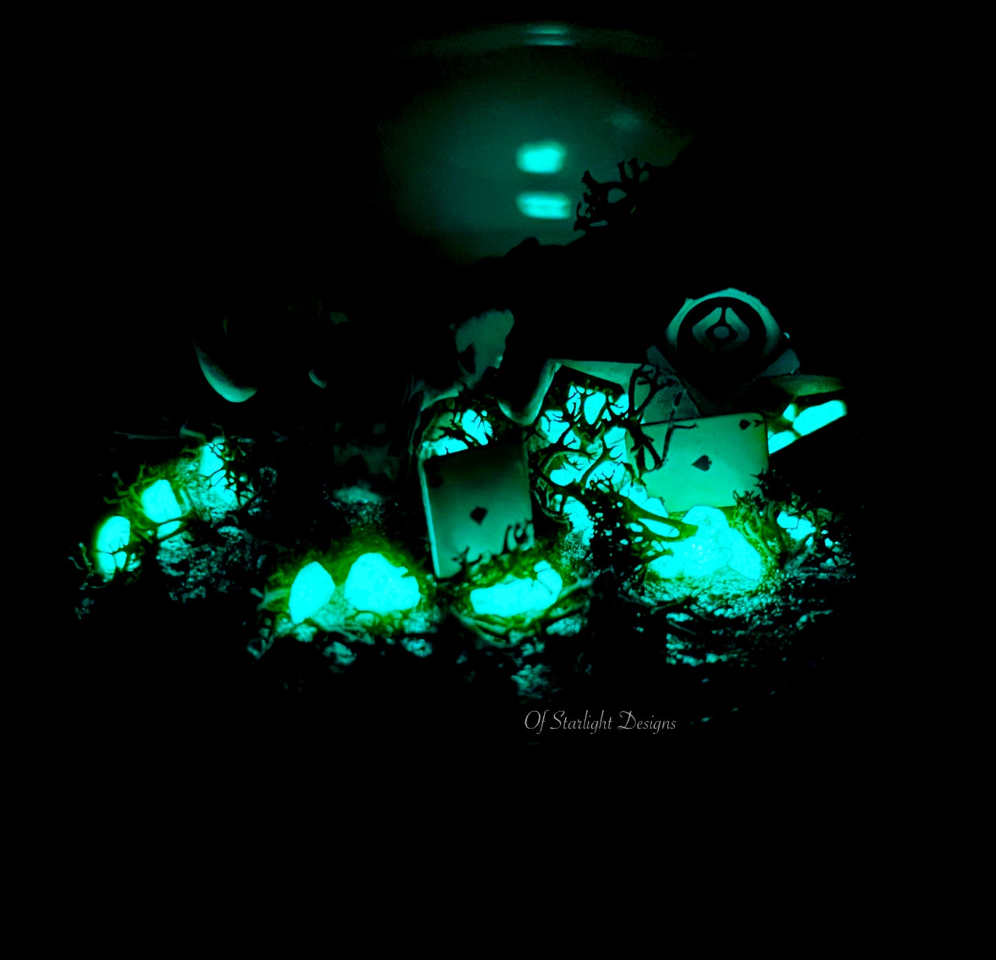 Revive 38 Little Light