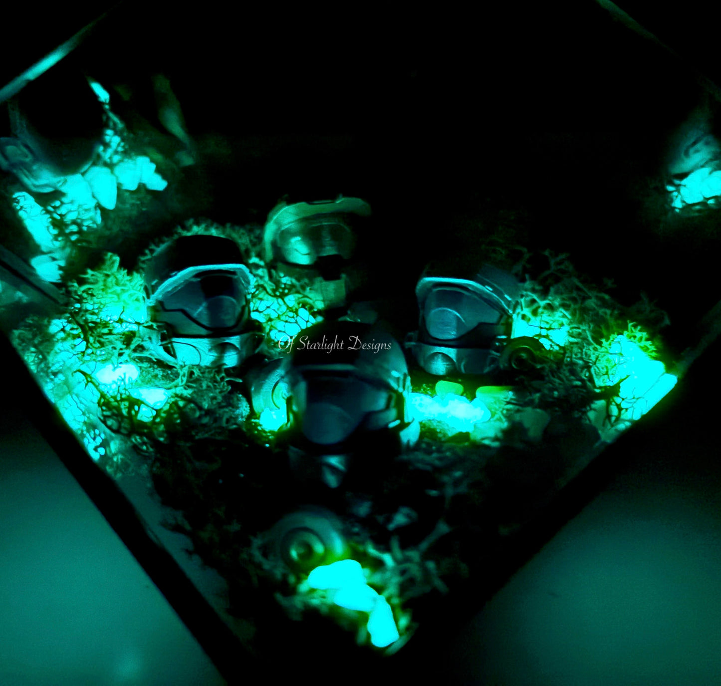 Chief & ODST Terrarium