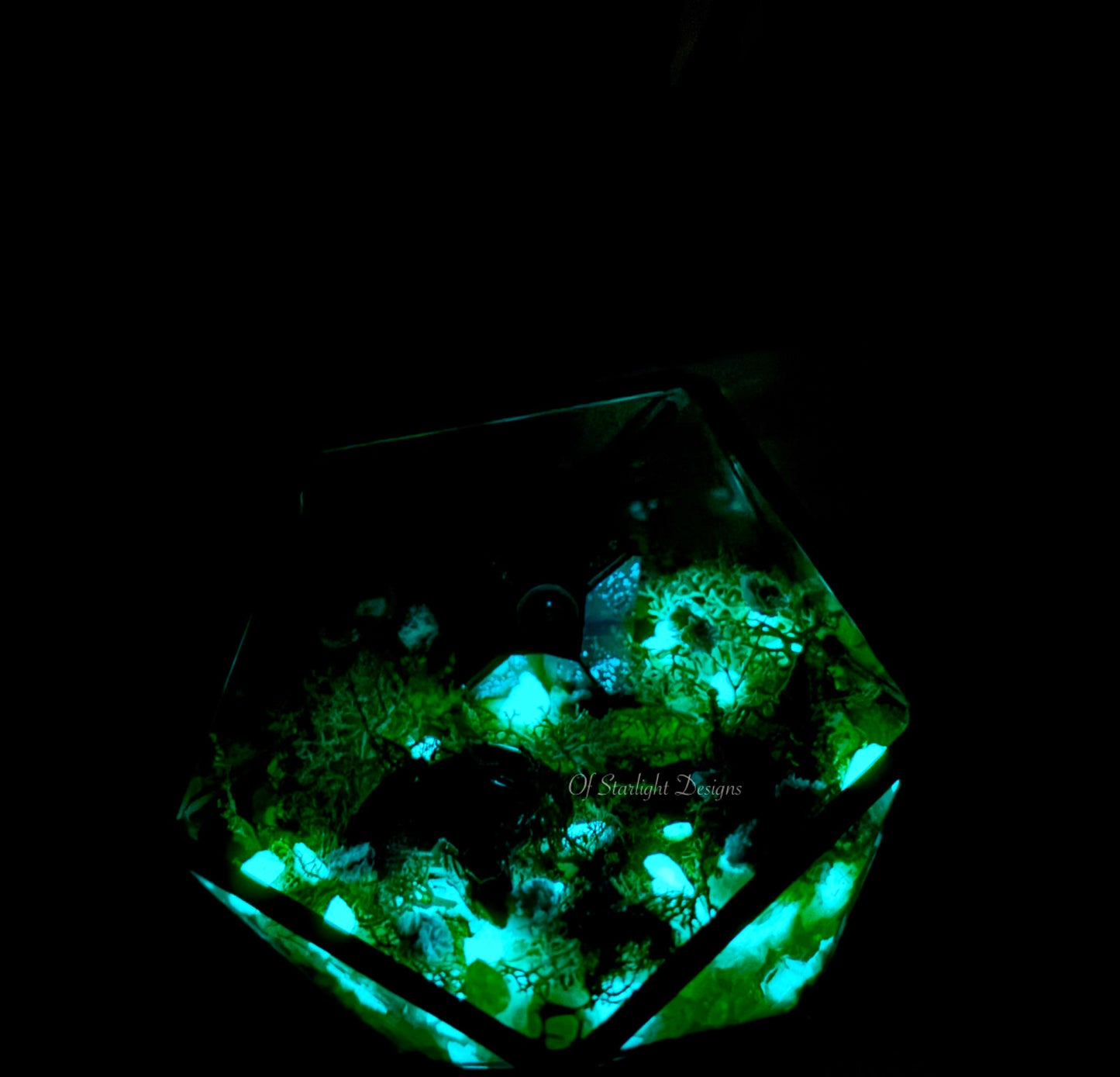 Venus Goblin Glow Little Light Terrarium