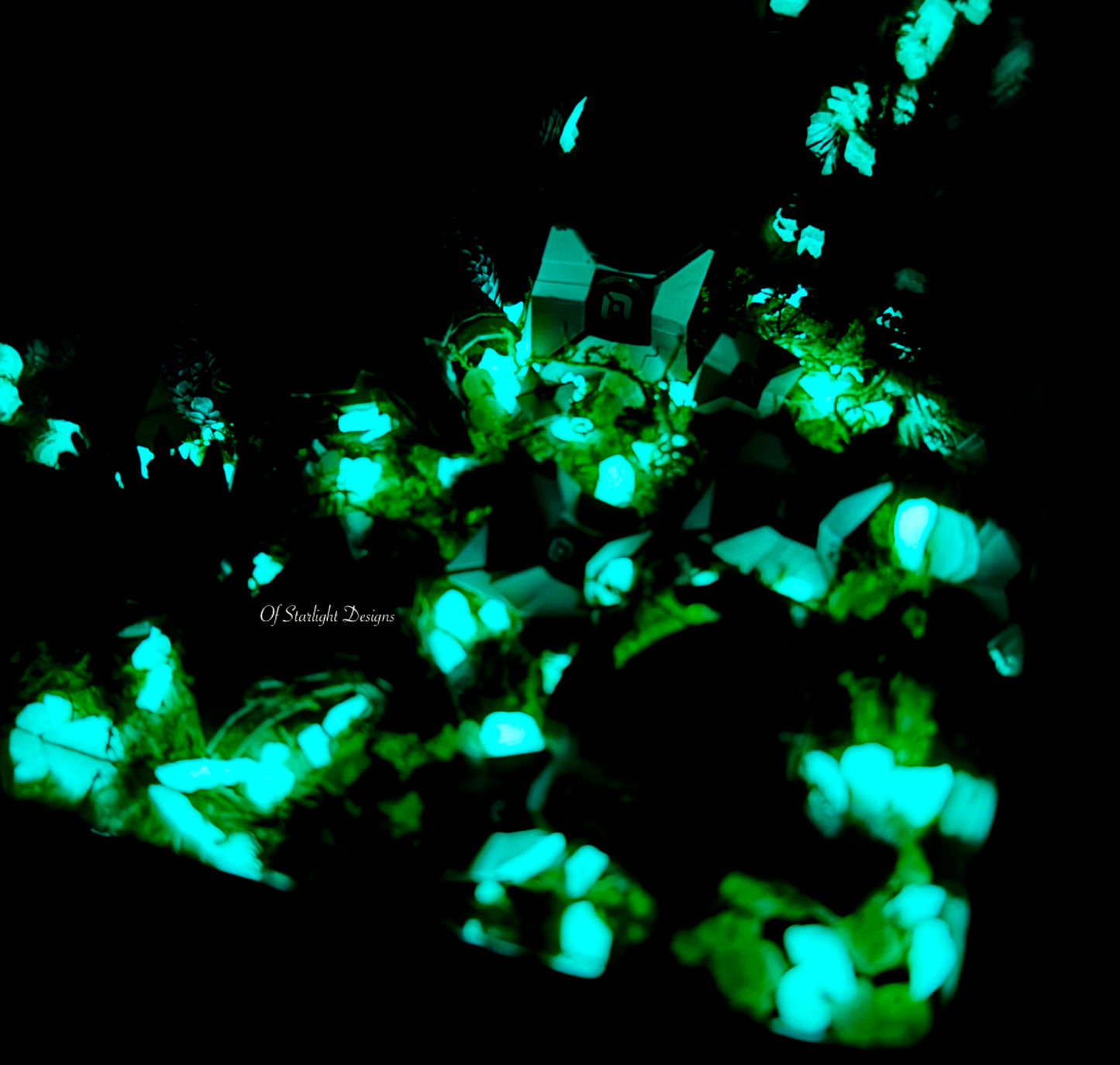 Black Garden Little Light Terrarium