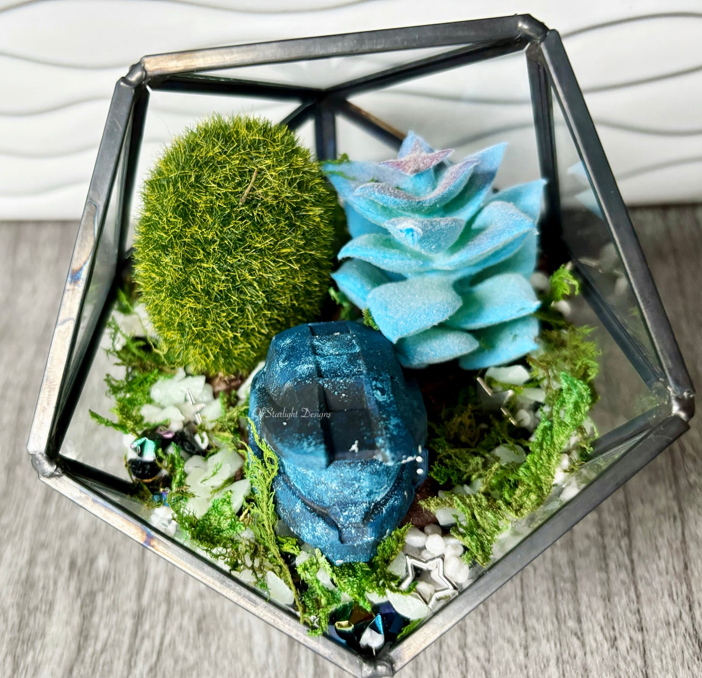 Space MIA Terrarium