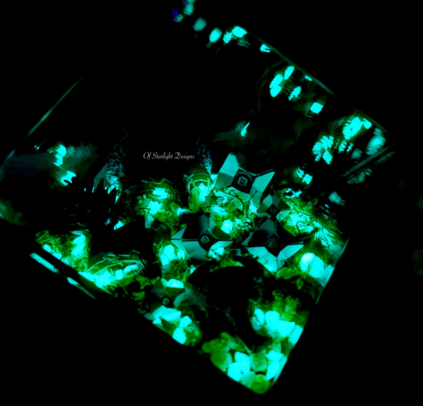Black Garden Little Light Terrarium