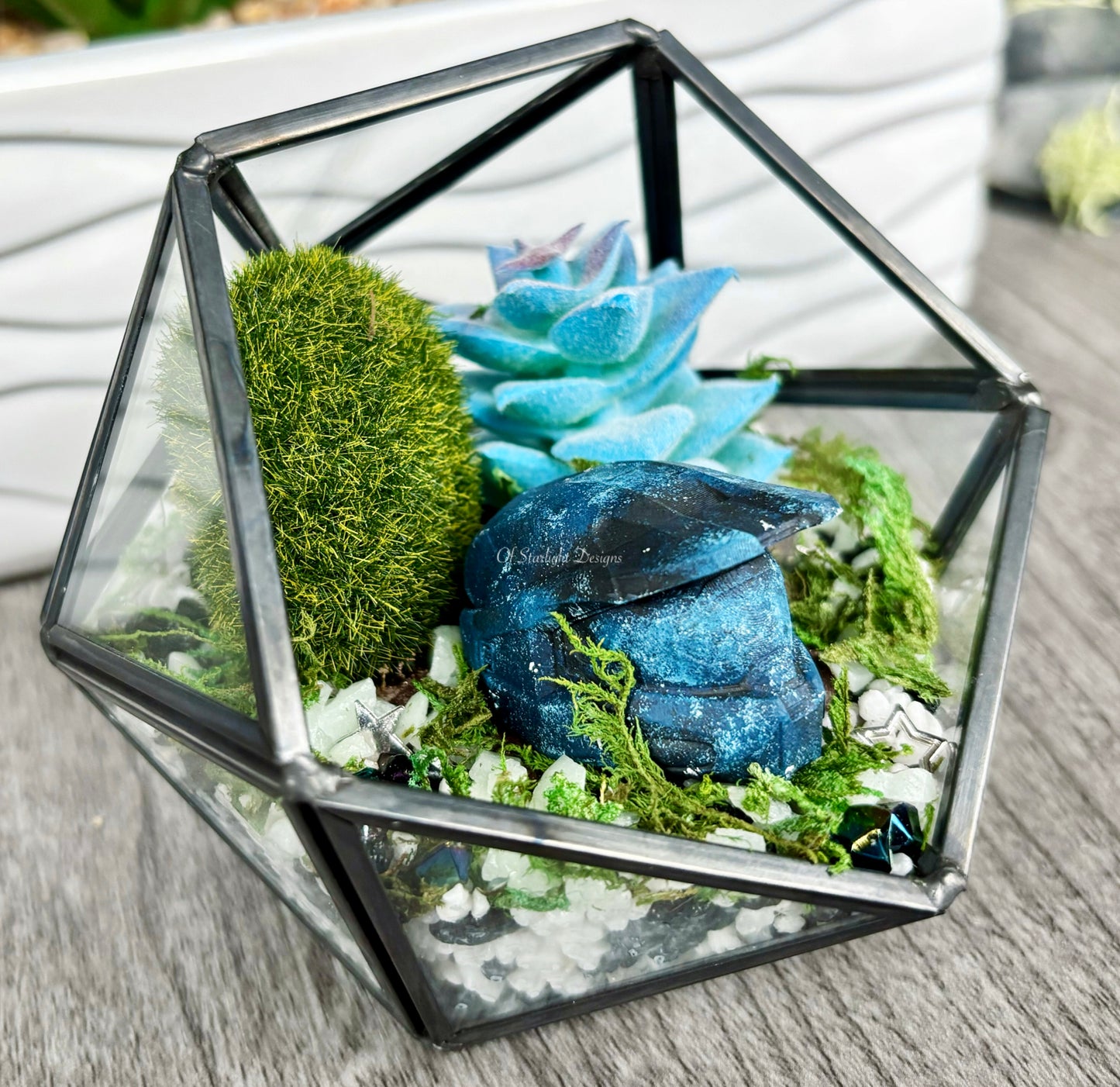 Space MIA Terrarium