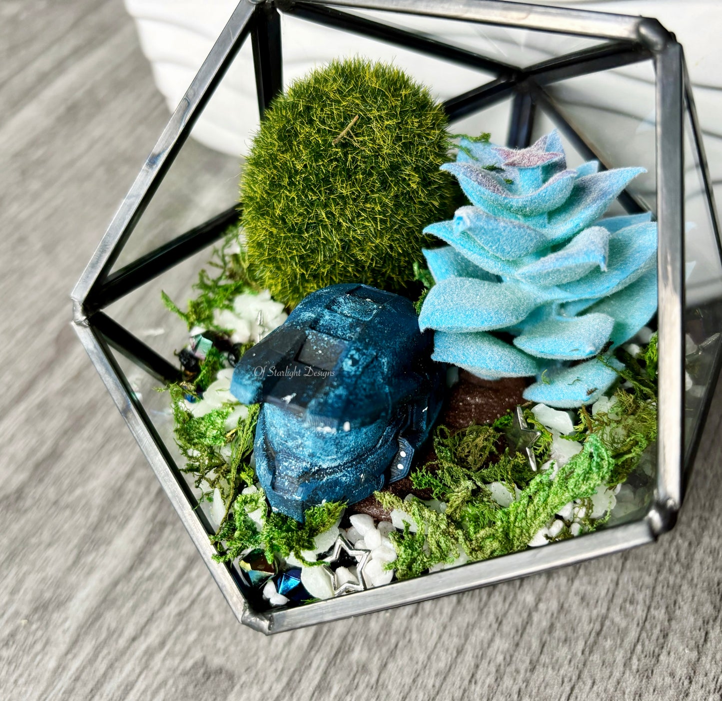 Space MIA Terrarium