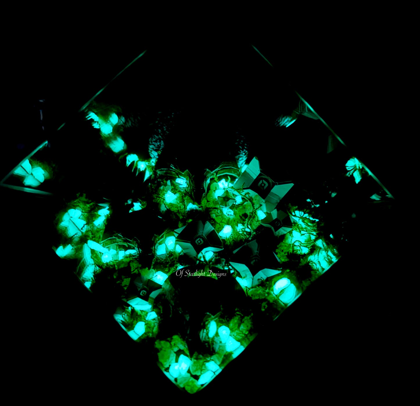 Black Garden Little Light Terrarium