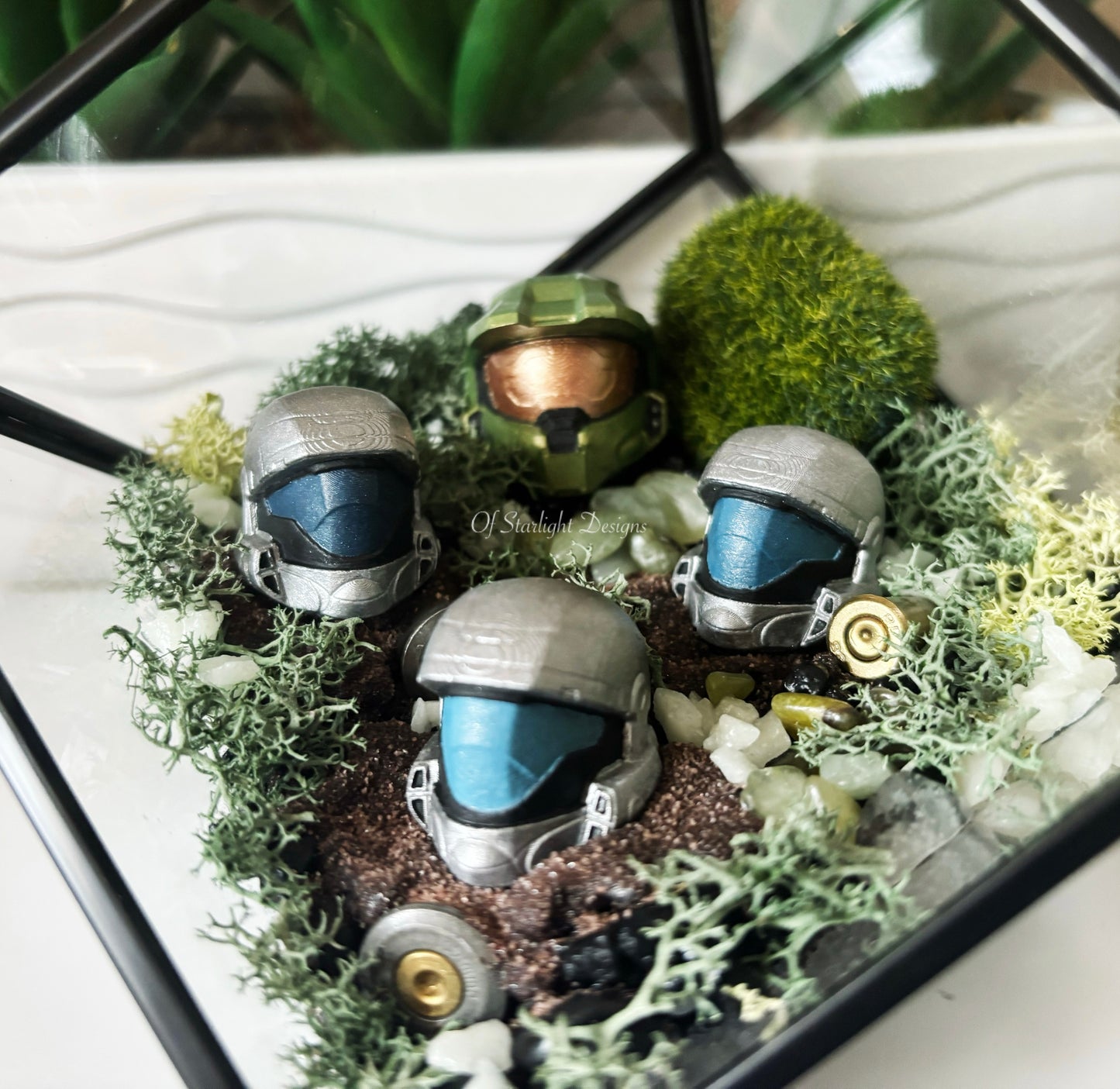 Chief & ODST Terrarium