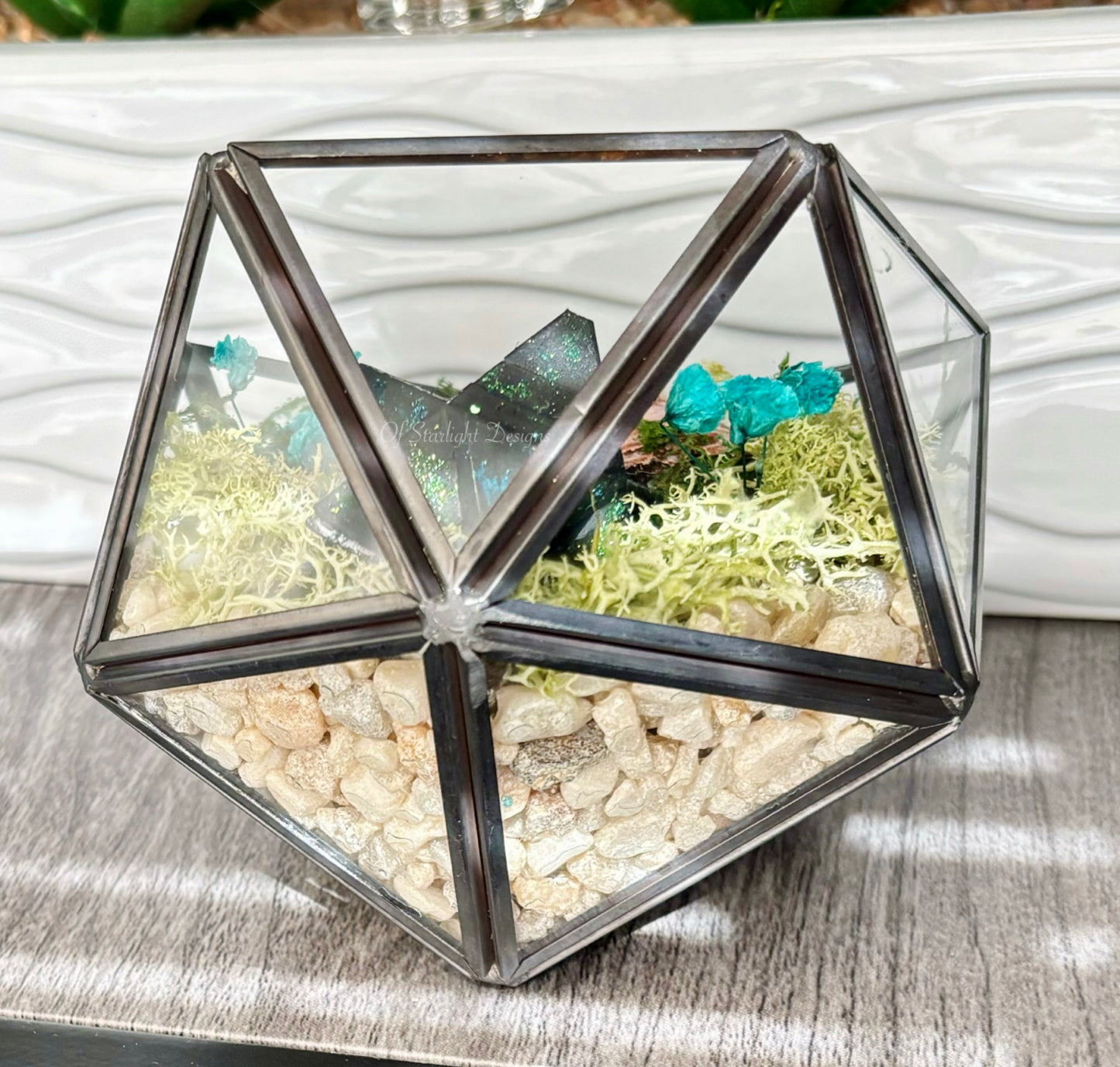 Venus Goblin Glow Little Light Terrarium
