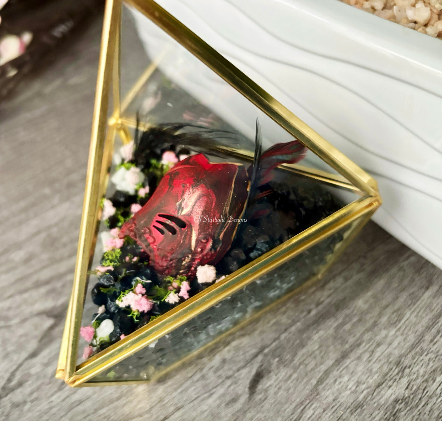 Sleep Arcadia Triangle Terrarium