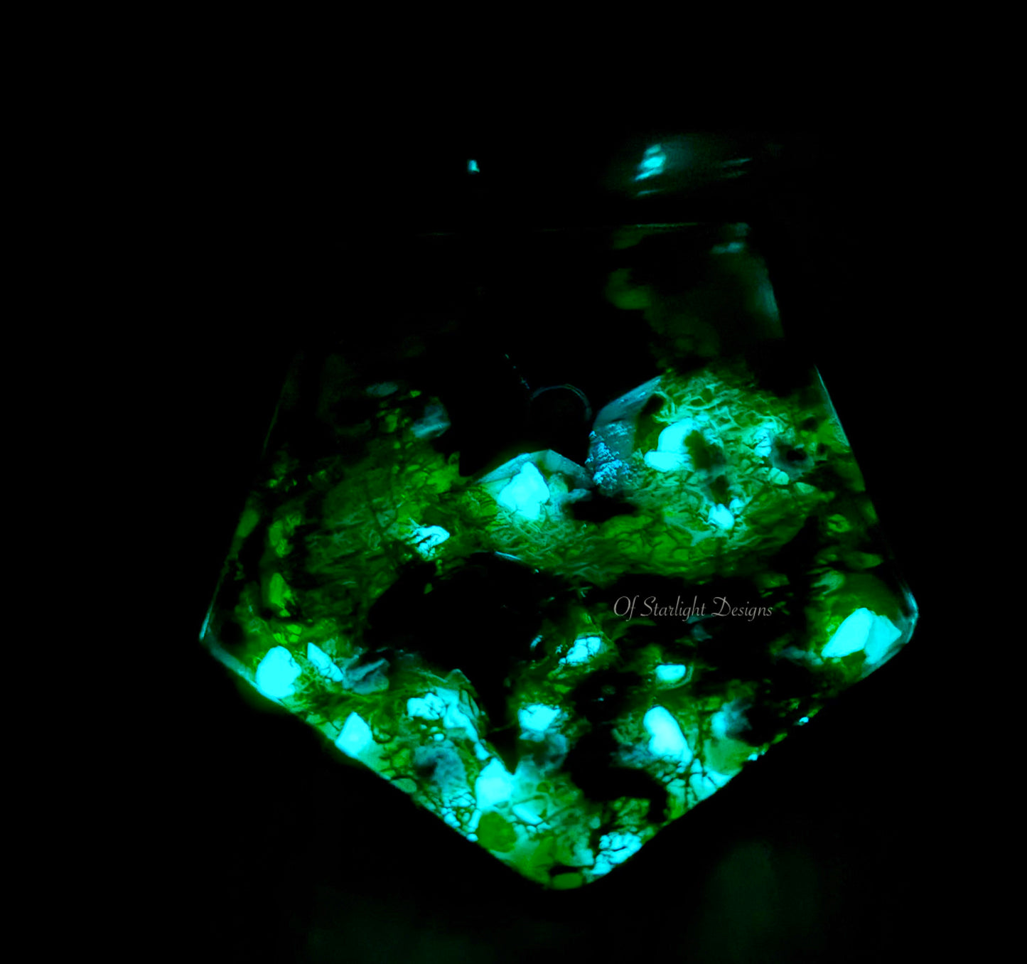 Venus Goblin Glow Little Light Terrarium