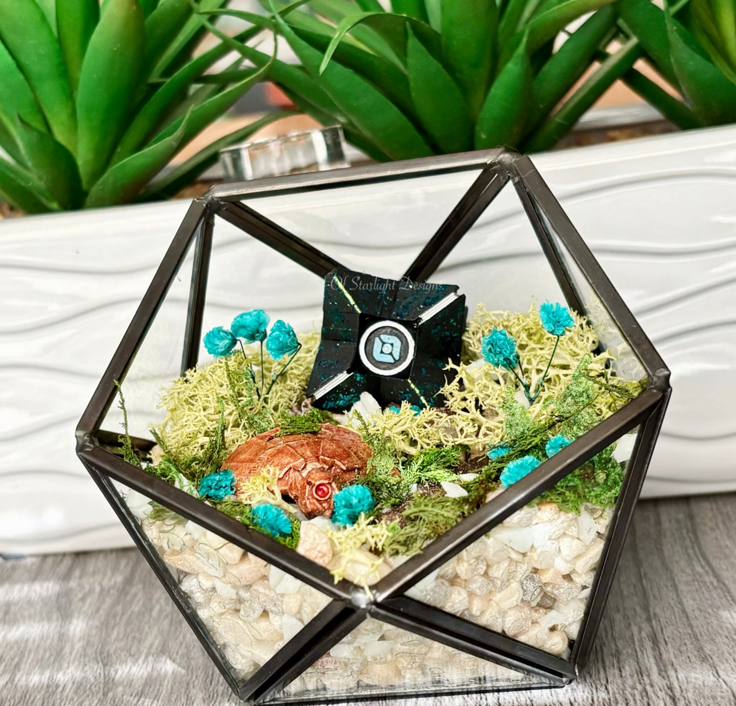 Venus Goblin Glow Little Light Terrarium