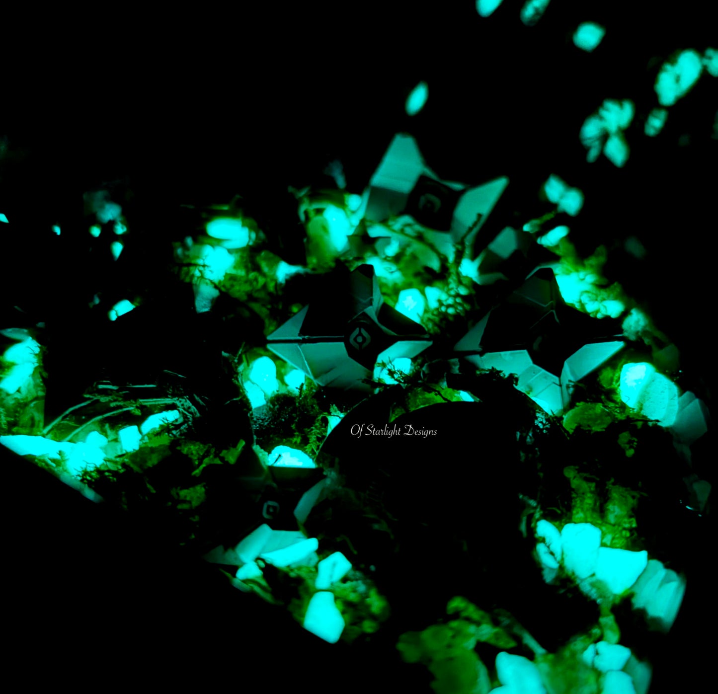 Black Garden Little Light Terrarium