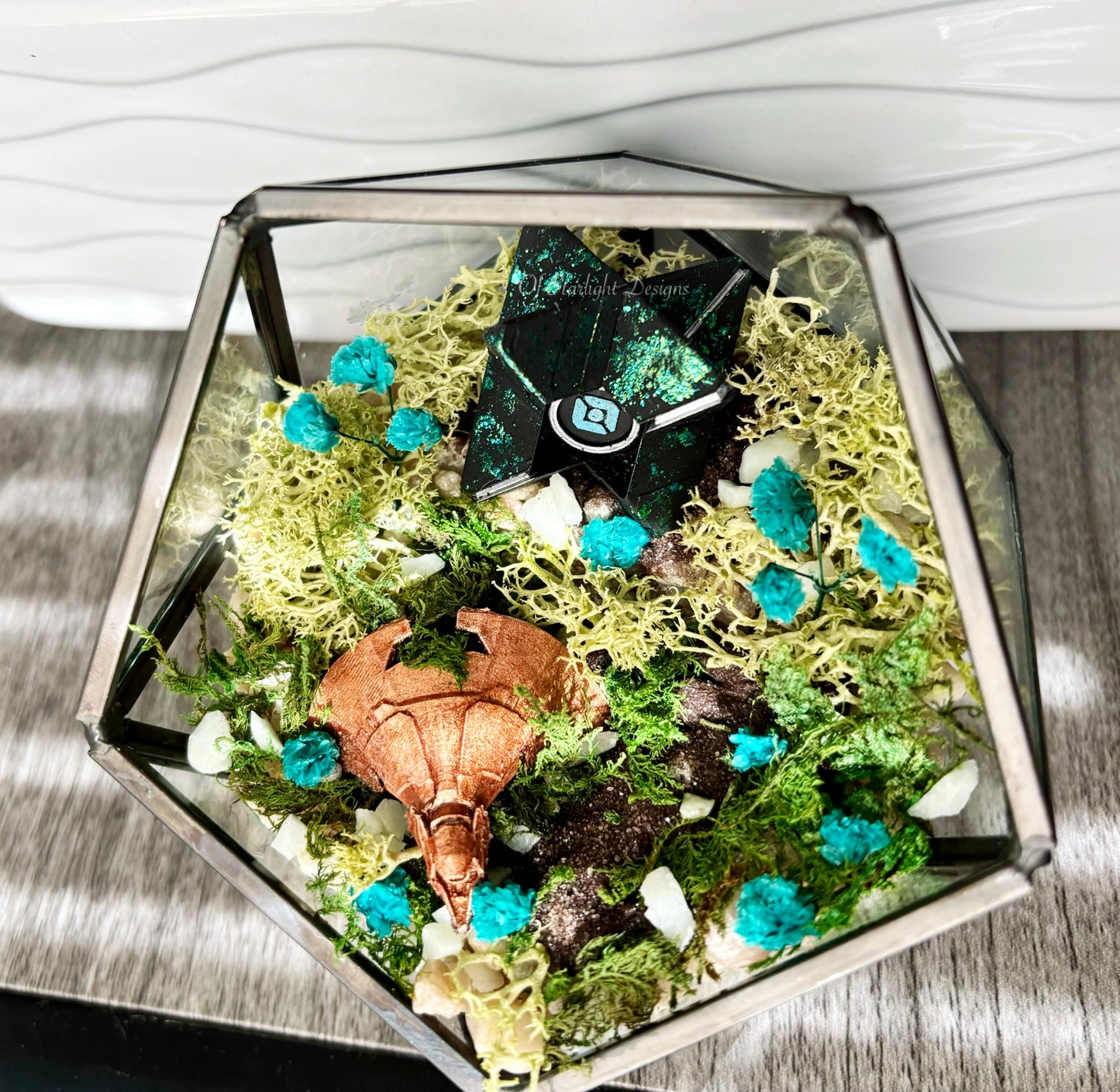 Venus Goblin Glow Little Light Terrarium