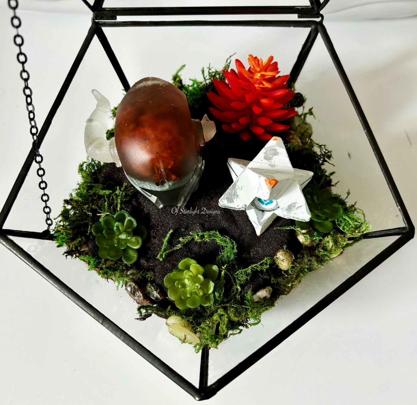 Shaxx Little Light Terrarium