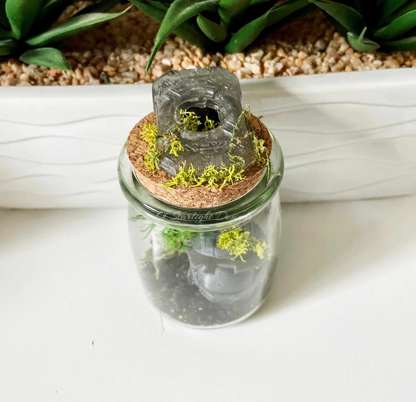 Succulent MIA