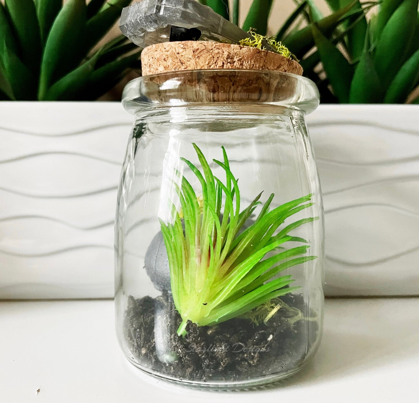 Succulent MIA