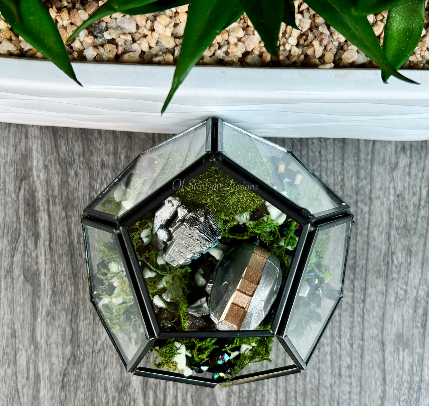 Grav Hammer Terrarium