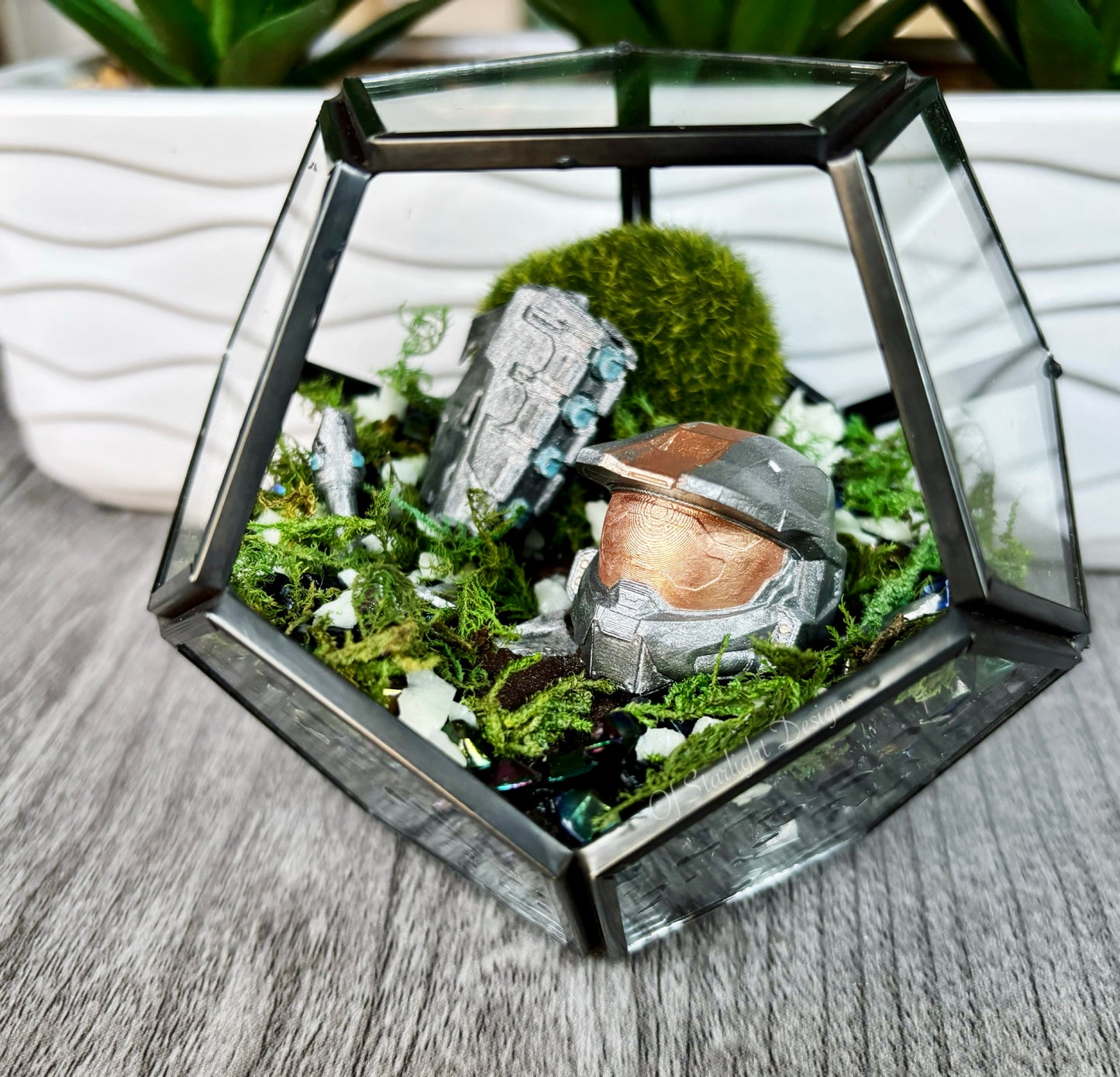 Grav Hammer Terrarium
