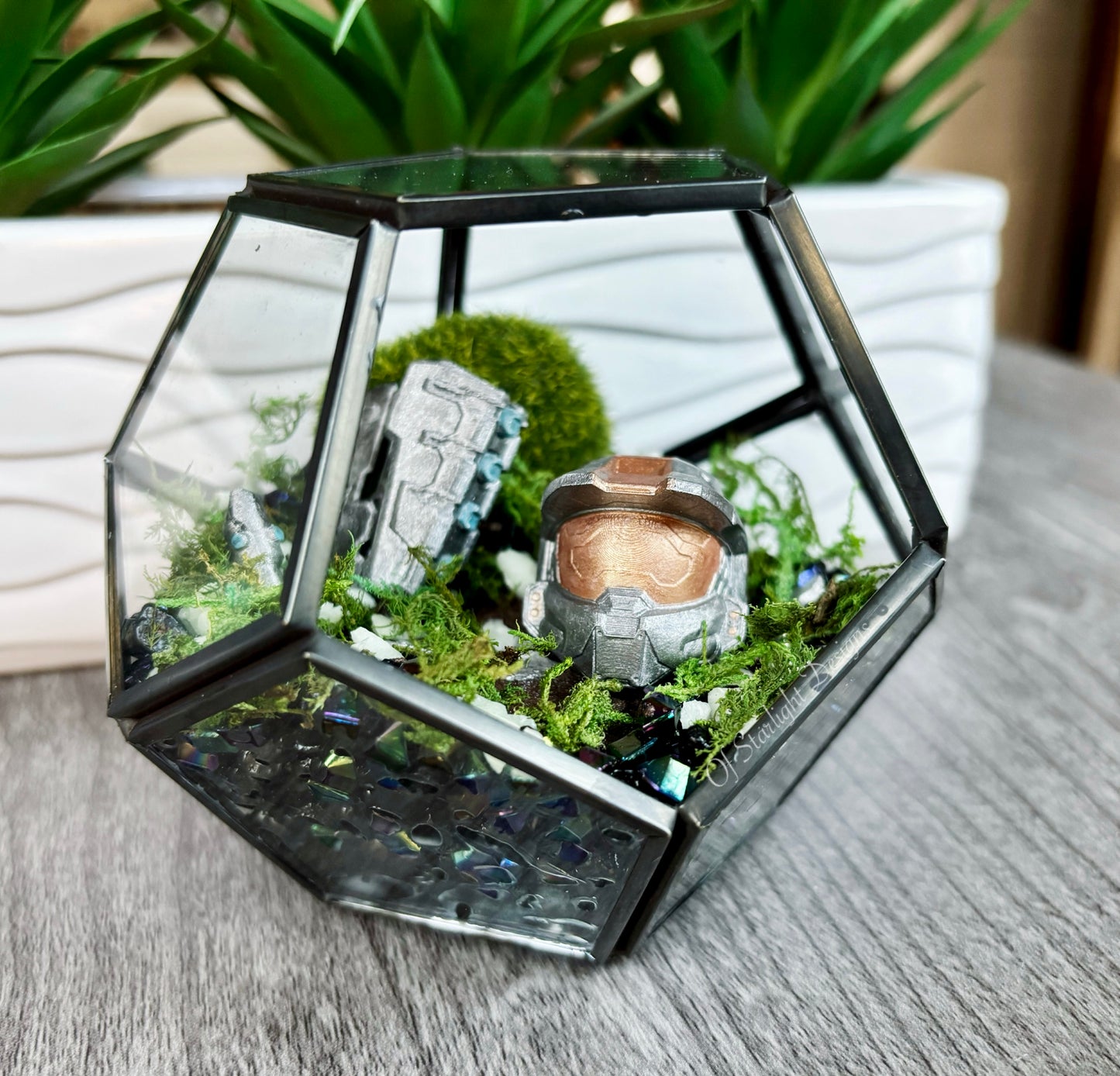 Grav Hammer Terrarium