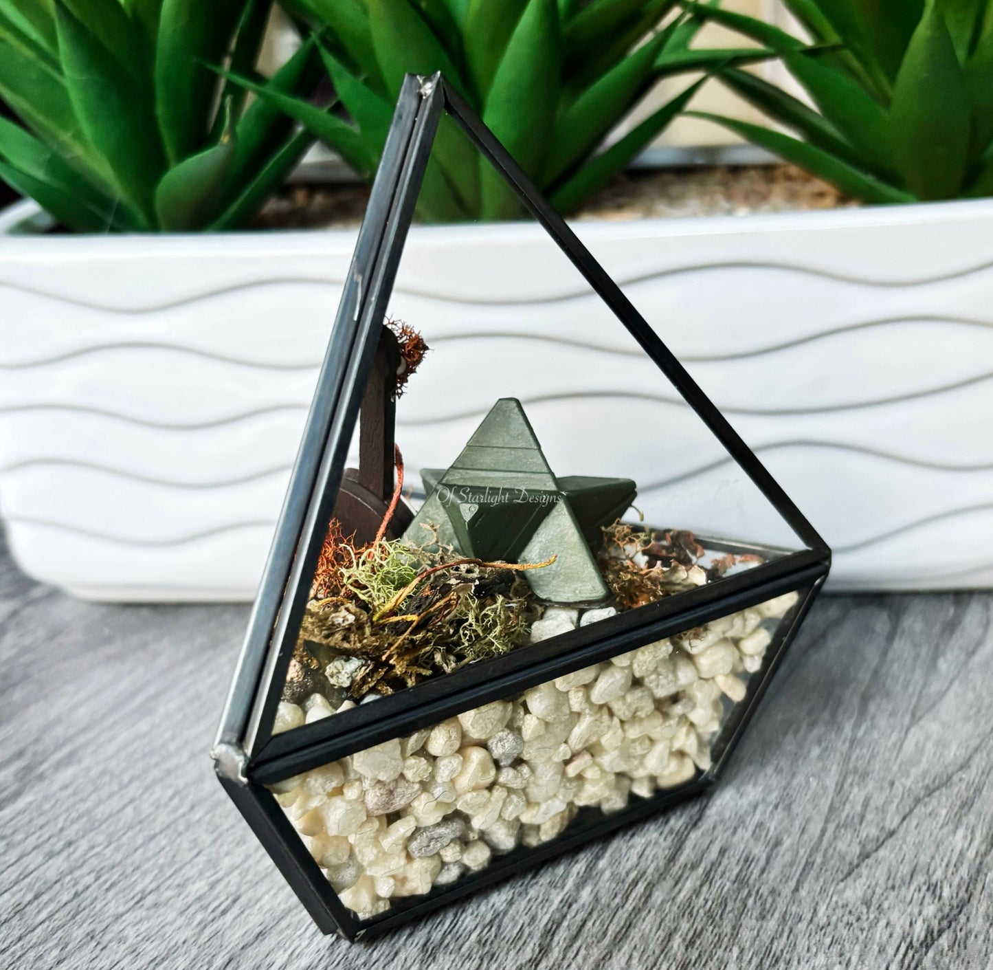 TLOU Little Light Terrarium