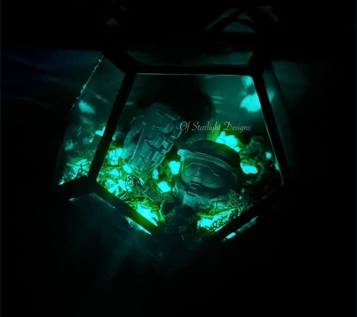 Grav Hammer Terrarium