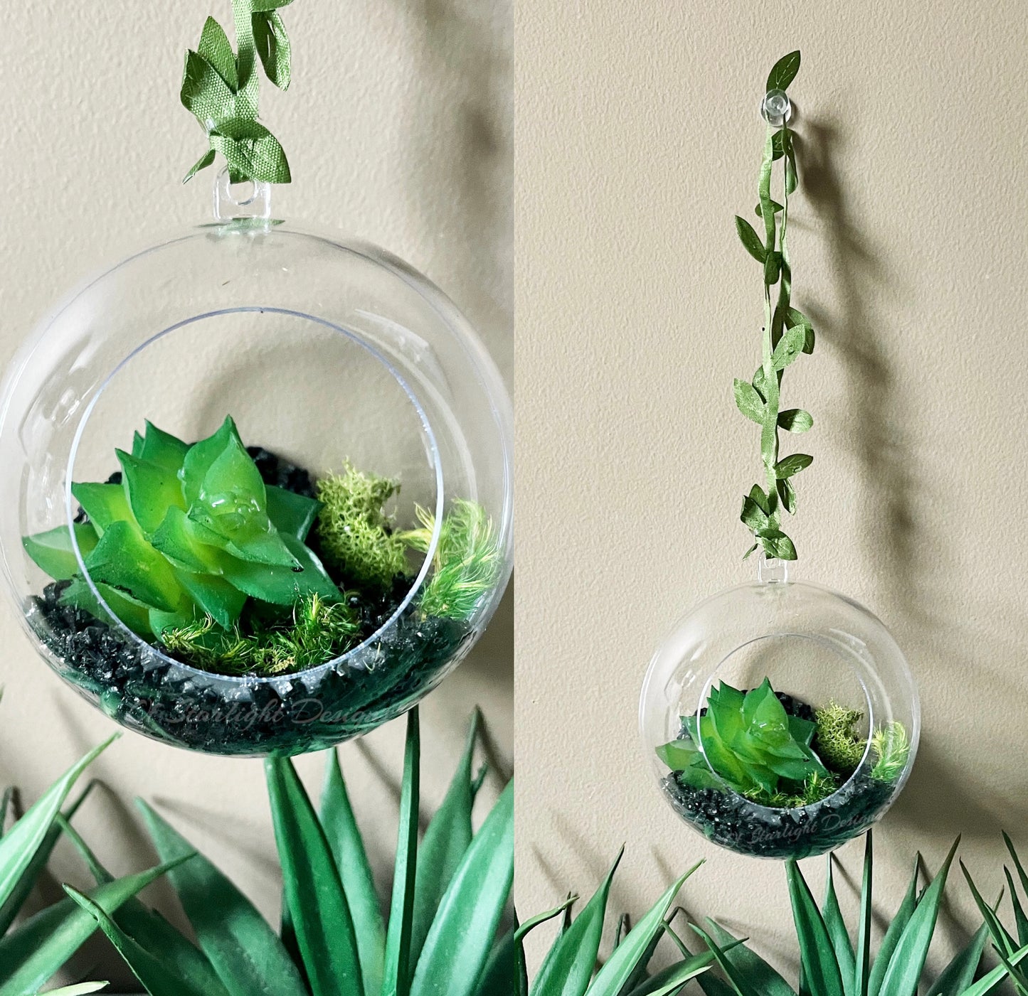 Succulent Terrarium Orb
