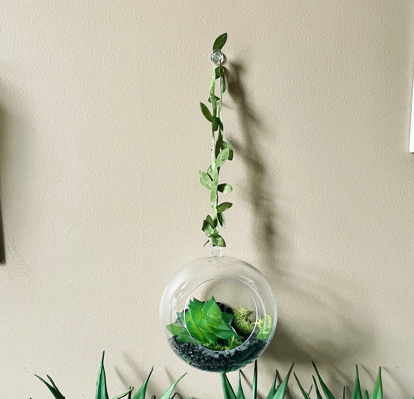 Succulent Terrarium Orb