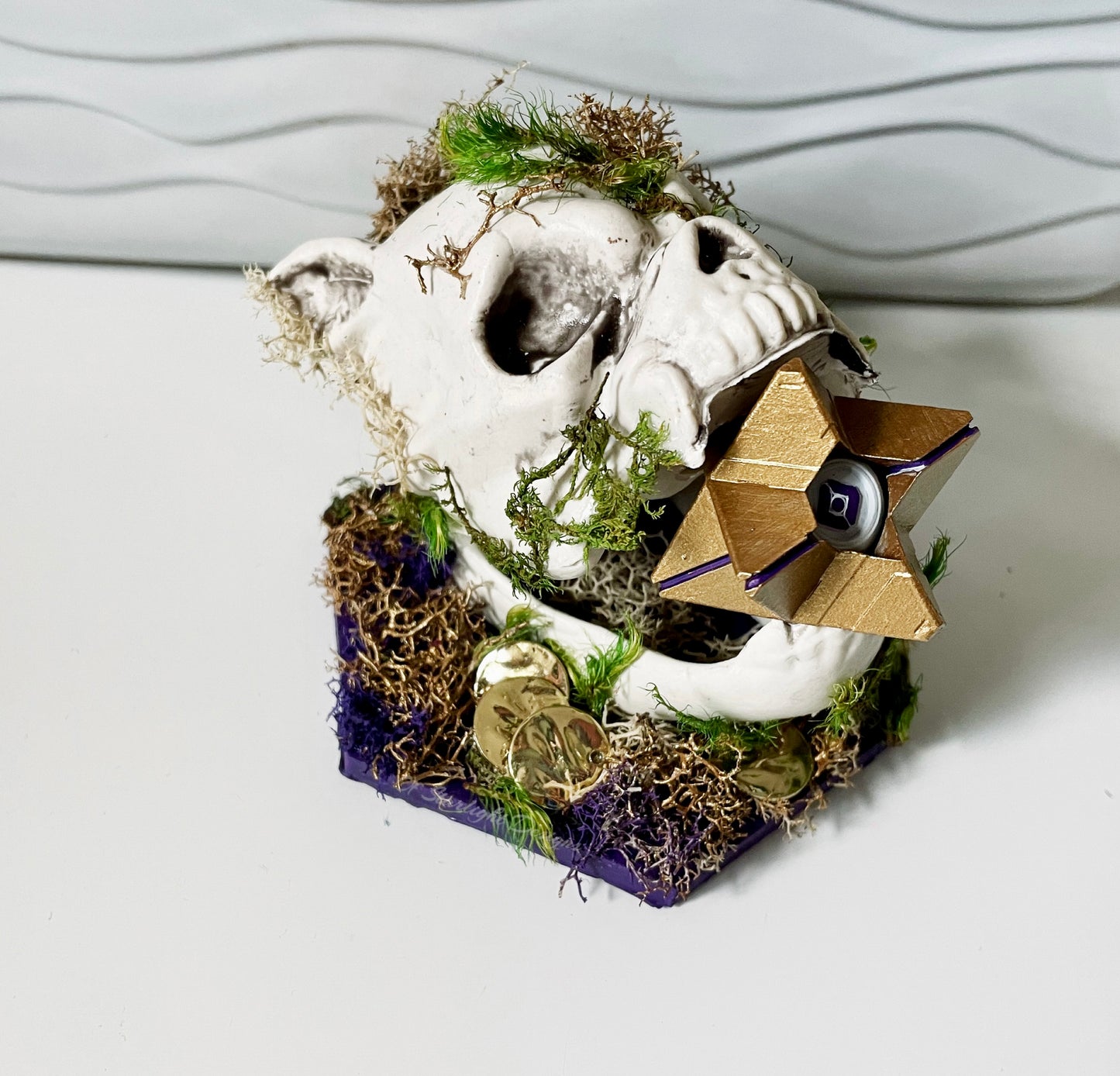Menagerie Little Light Skull