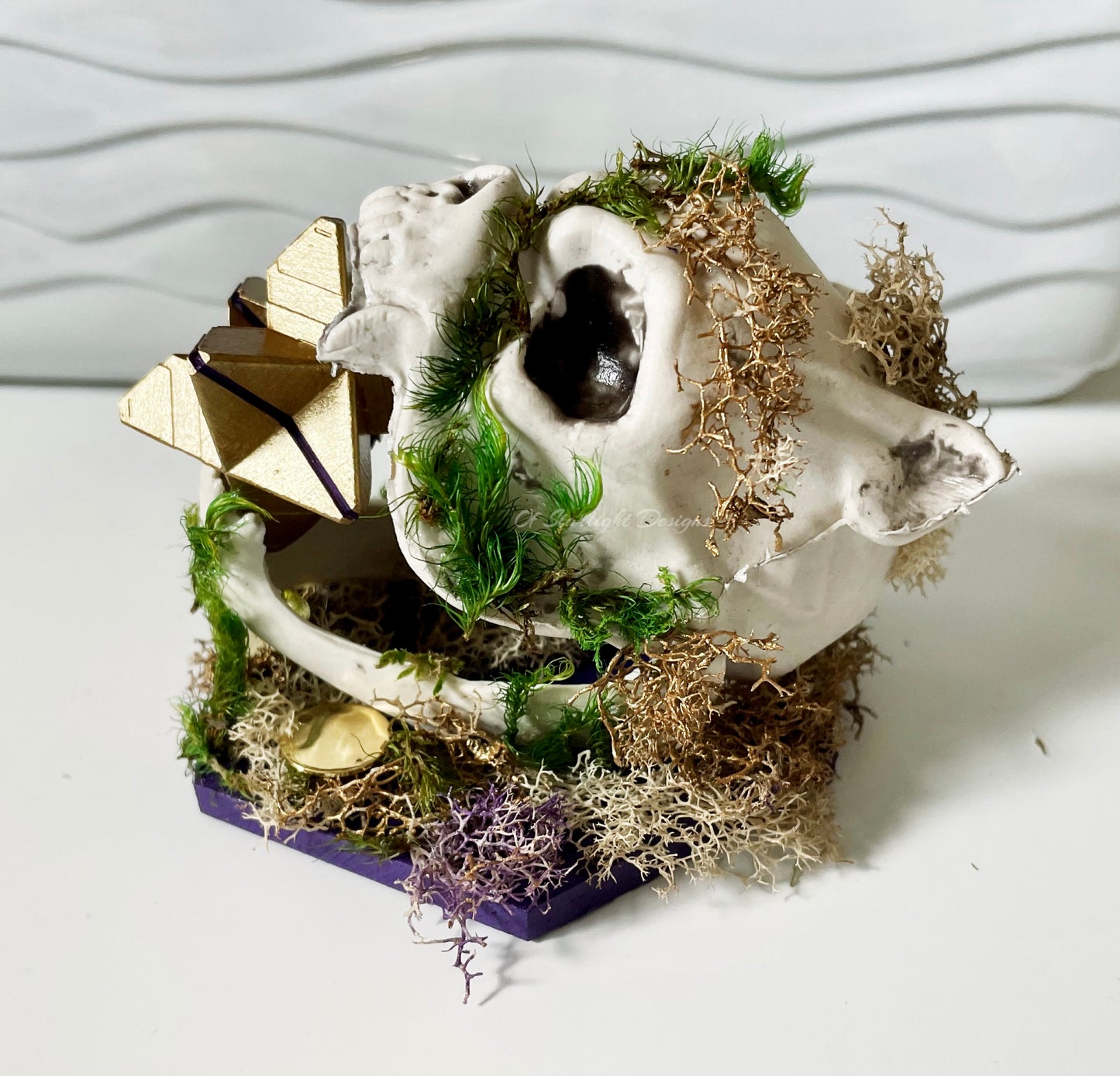 Menagerie Little Light Skull