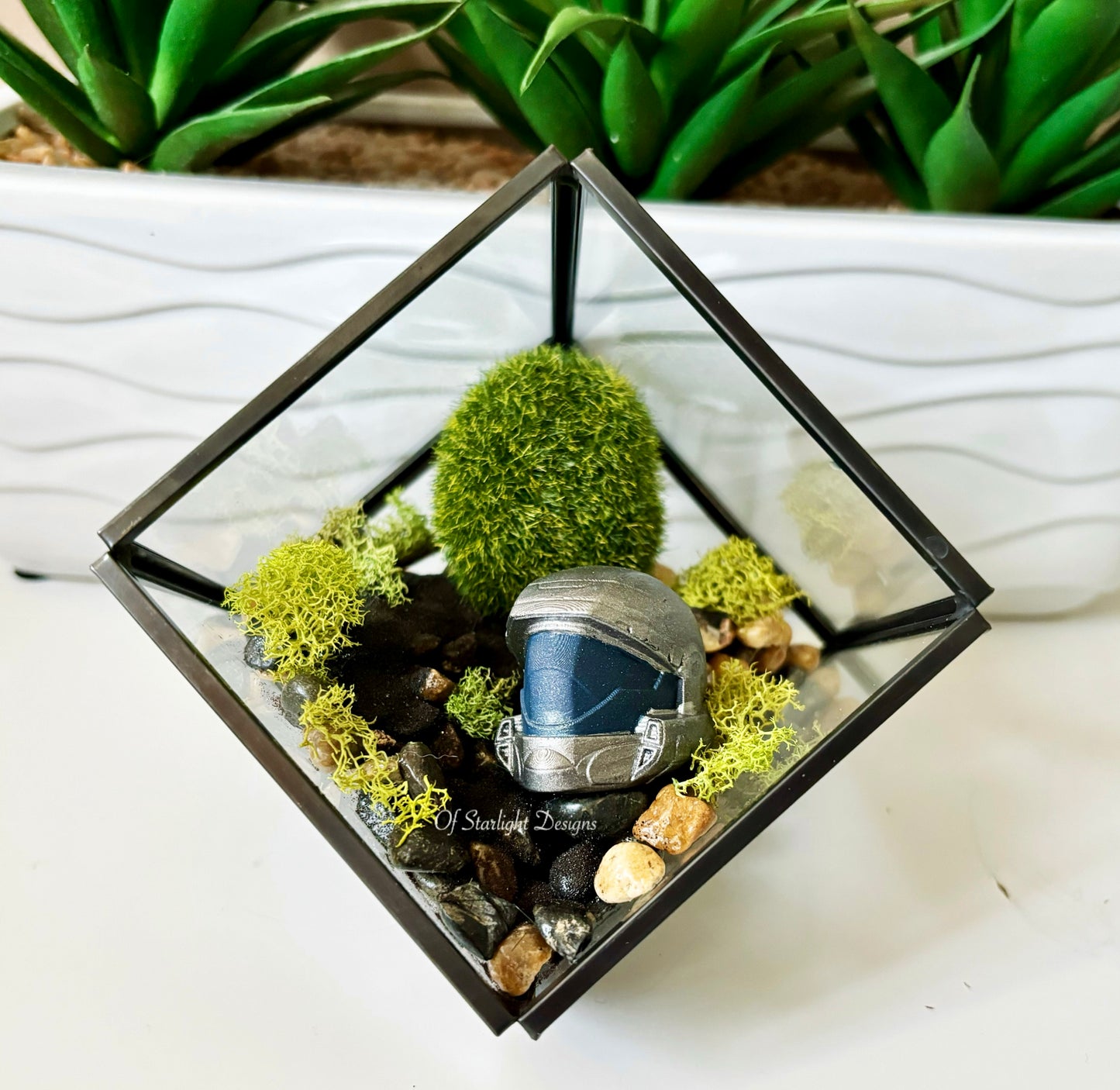 ODST Terrarium