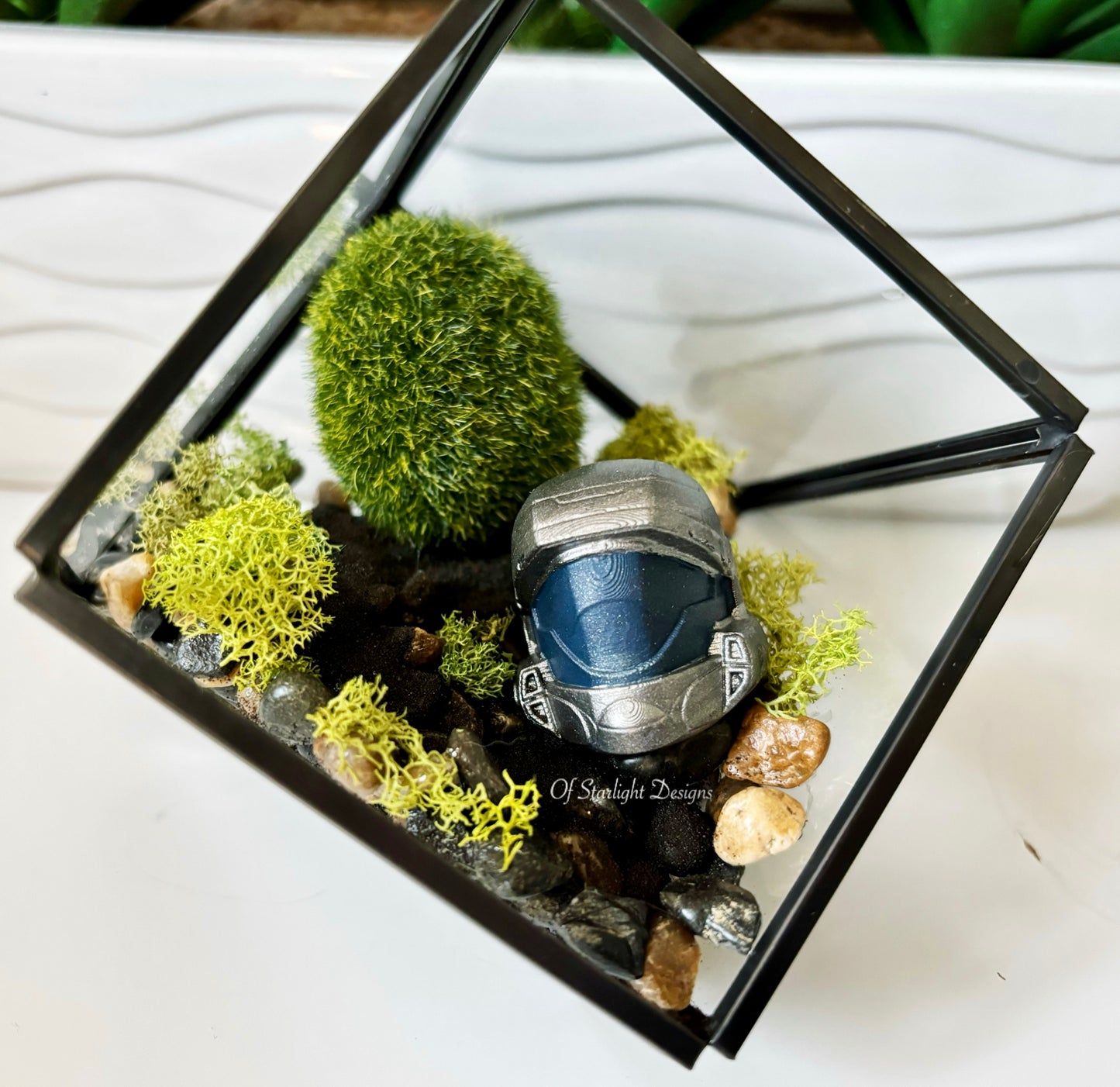 ODST Terrarium