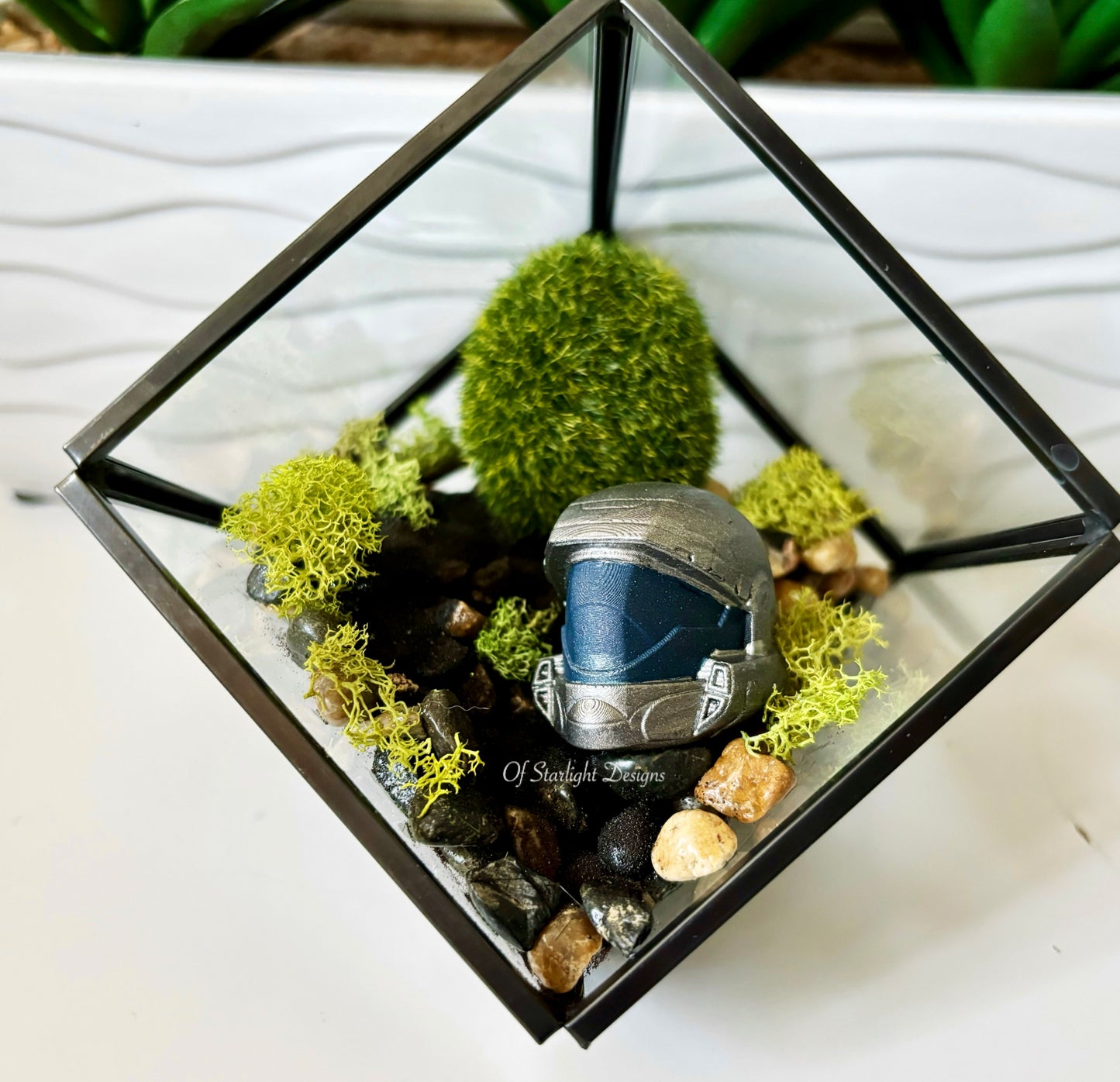 ODST Terrarium