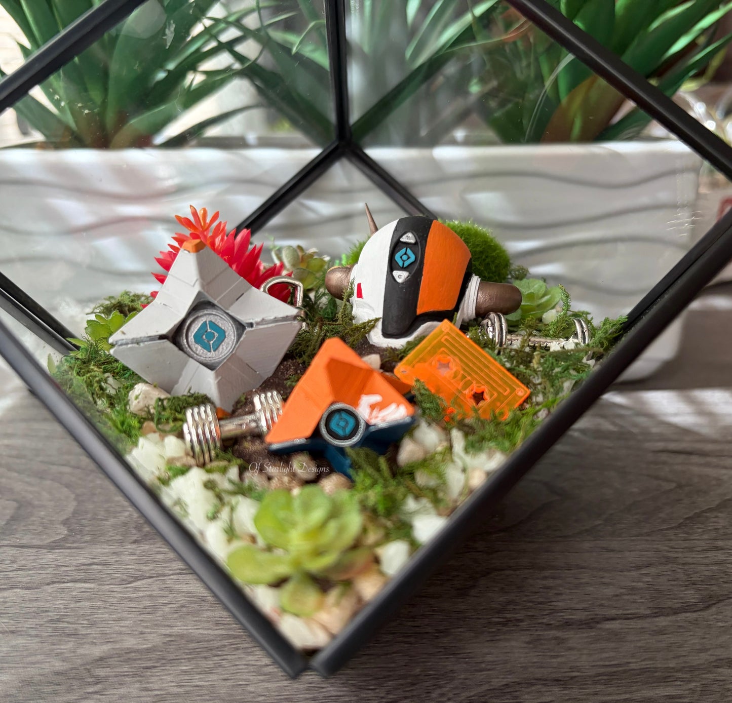 The Lord Training Terrarium